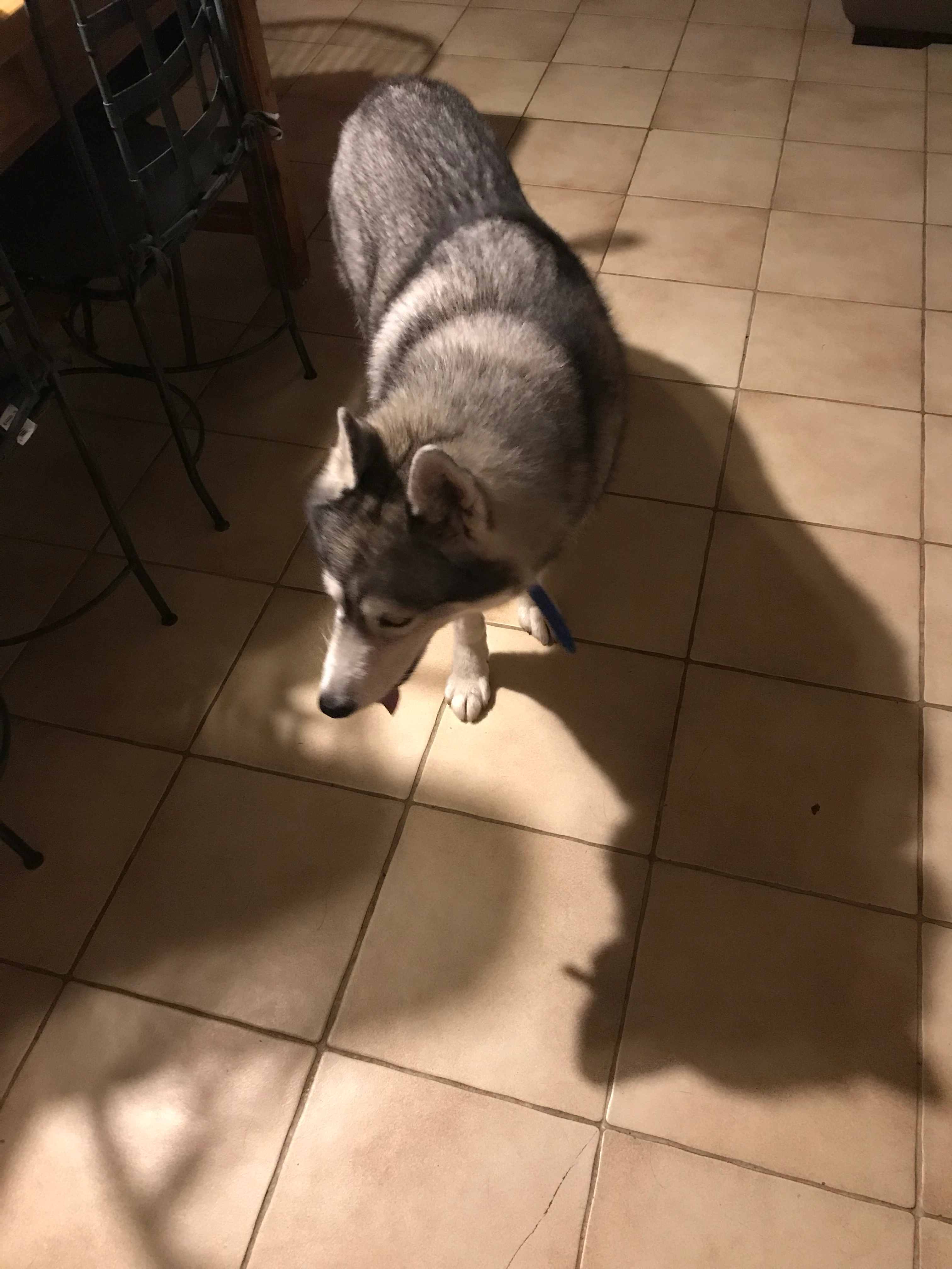 Meyko - Chemin De La Papeterie, Le Bar-sur-Loup