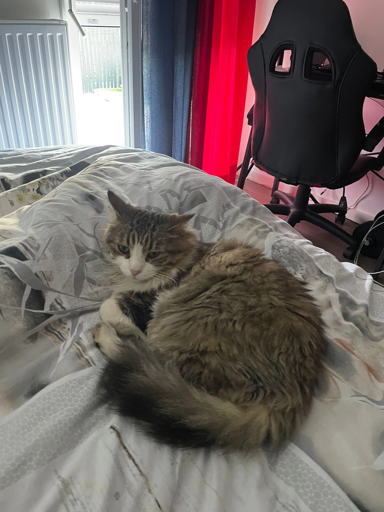 Ben - 300 Impasse du Roi David, La Ferté-Beauharnais