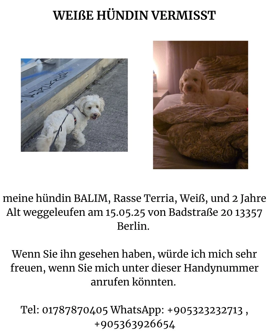  Balım - Gesundbrunnen, Müglitztal