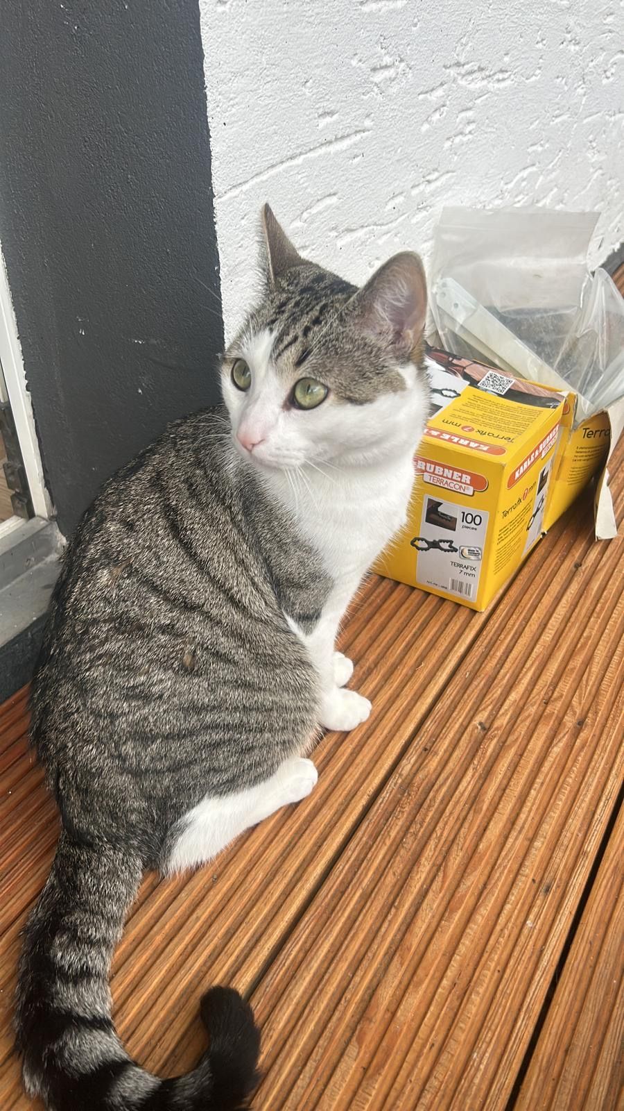 Rico - Schlehenweg, Sundern