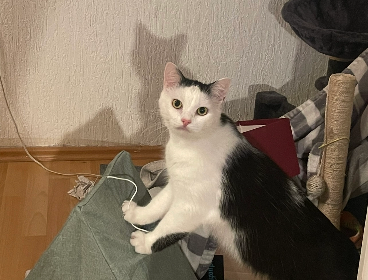 Tomi - Bahnstraße , 2124 Niederkreuzstetten 