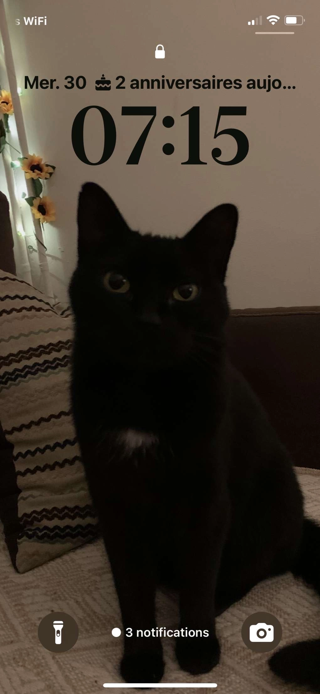 Nala - Rue Jules Verne, Dax