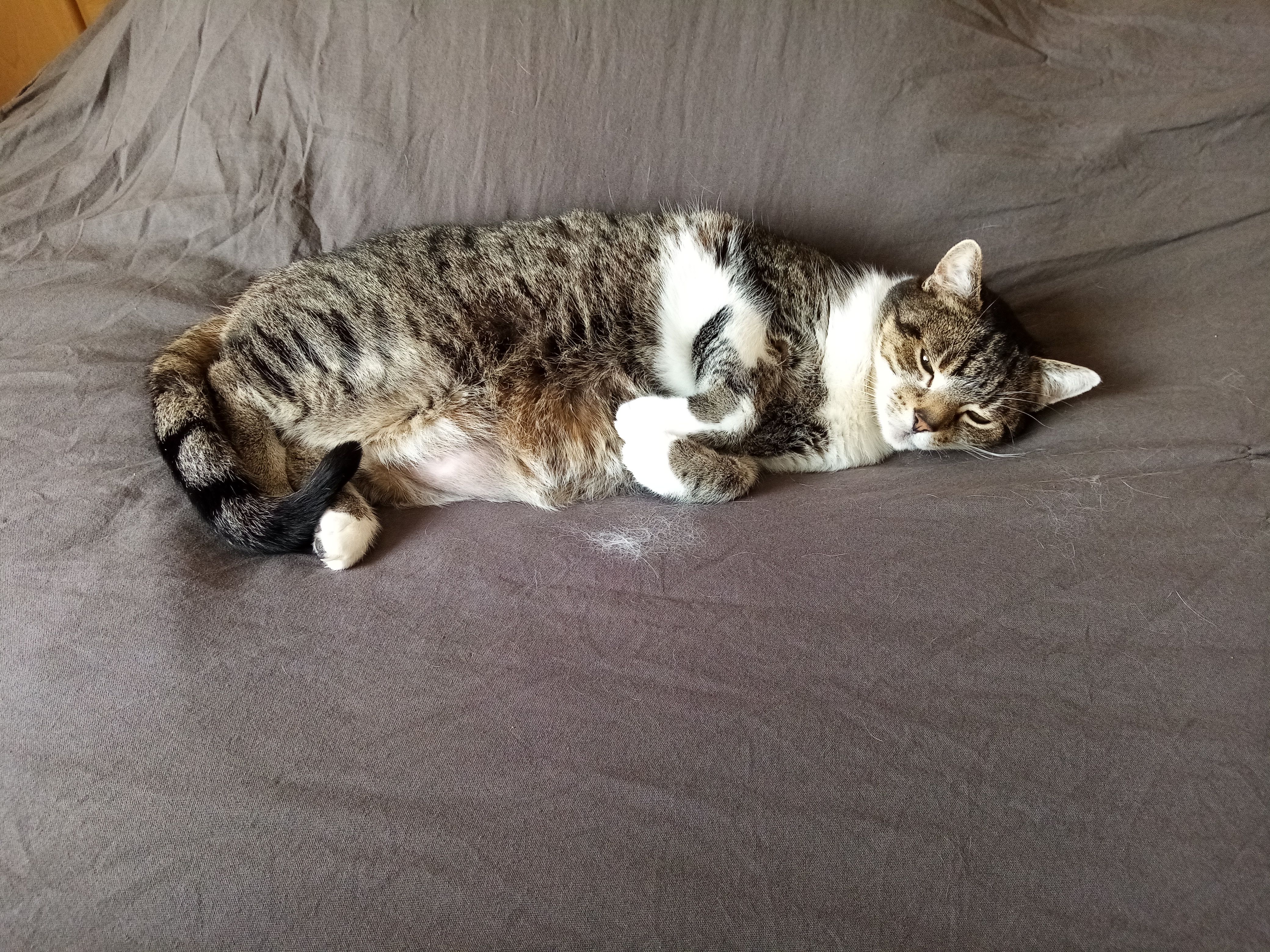 Bessi - Kasseler Straße, Calden