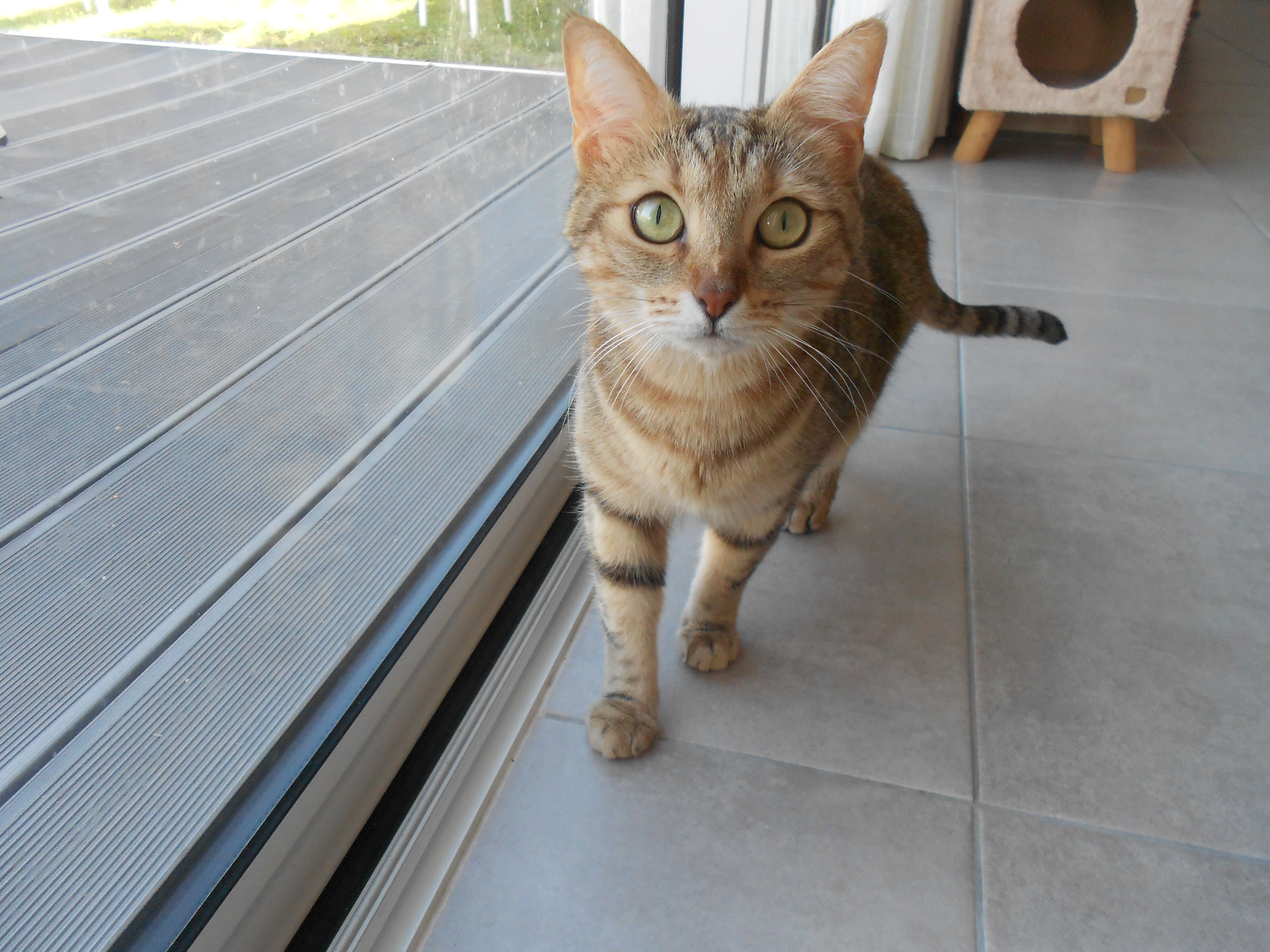 Myla - Boulevard Paul Caillaud, La Roche-sur-Yon