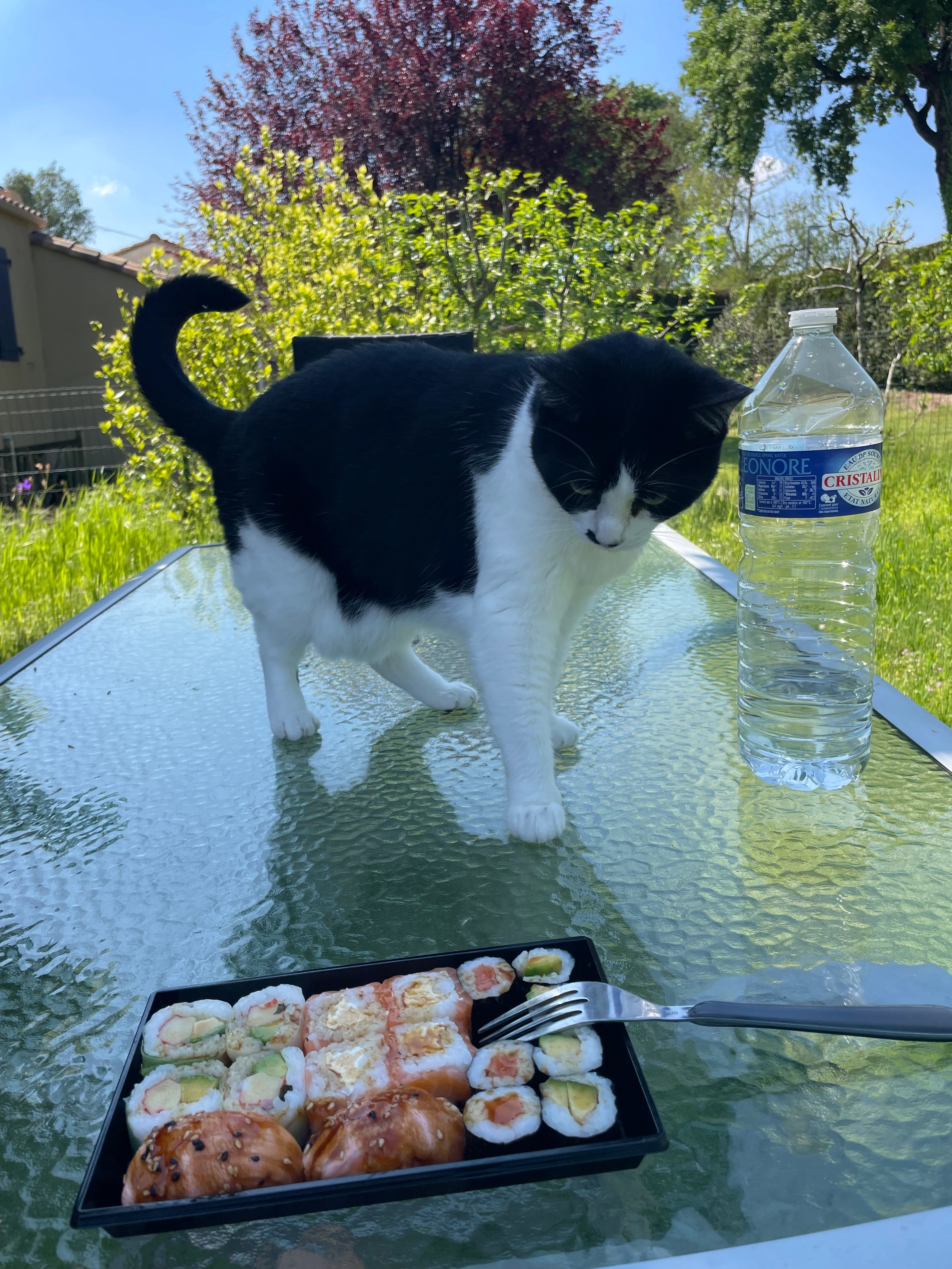 Ratiti - Rue Des Halles, La Roche-sur-Yon