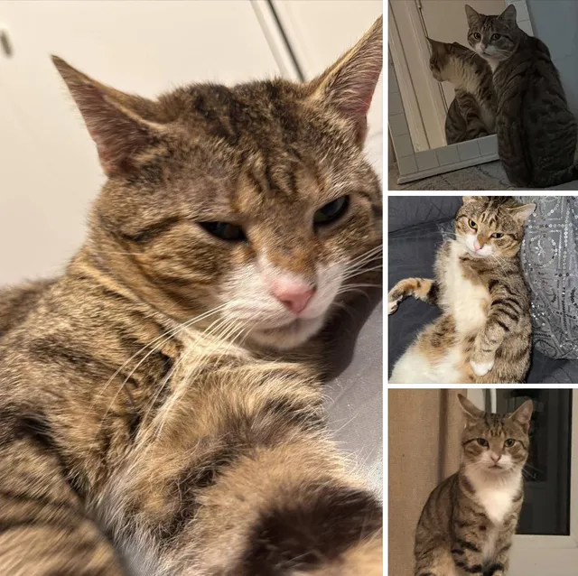 Benjamin - Maryfield, Southampton