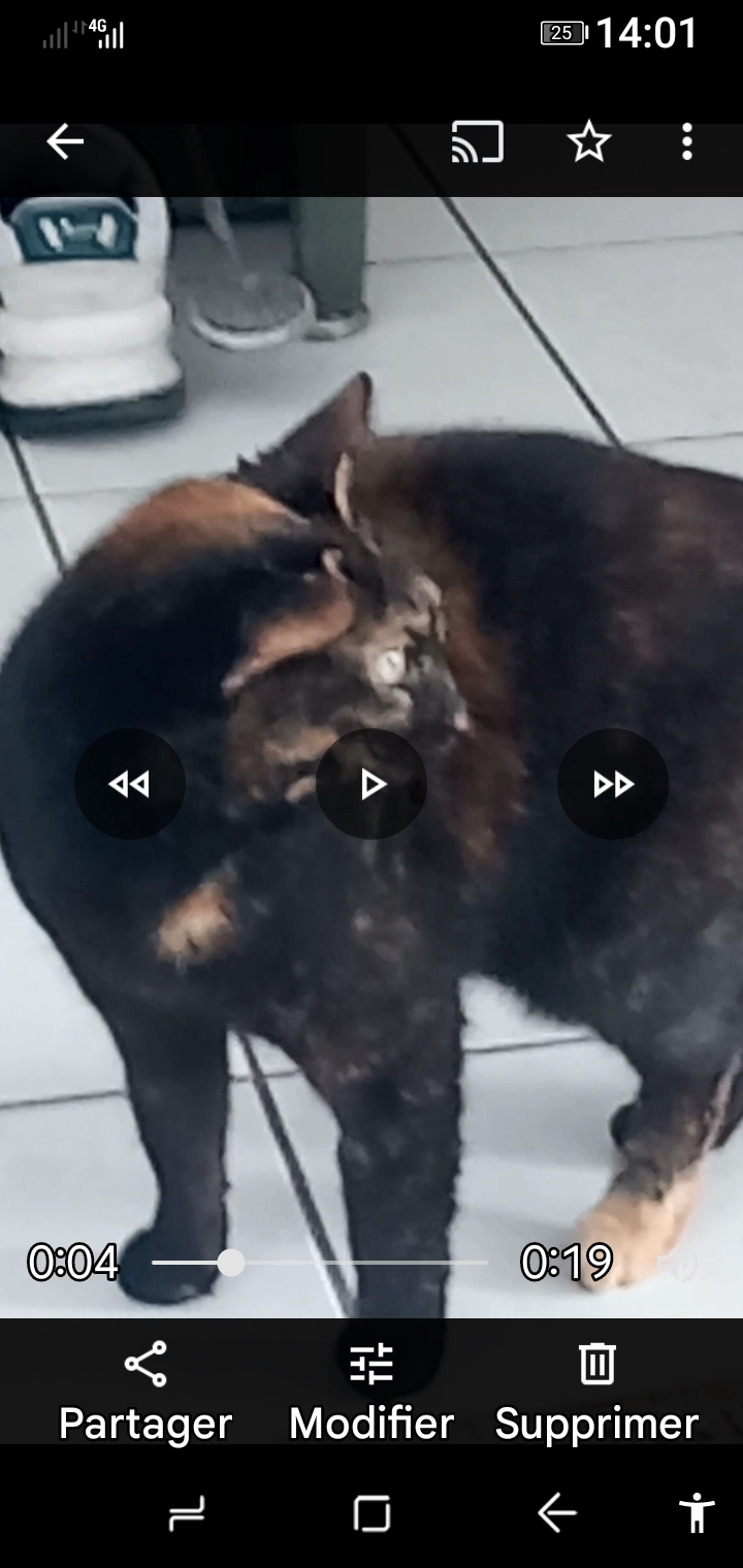 Scarlett - Rue des Carrouges, Cruguel