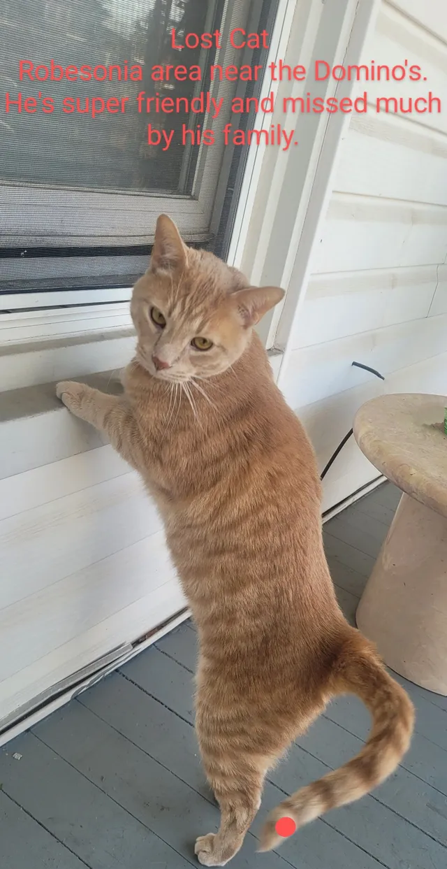 Simba - 104 N Robeson St, Robesonia