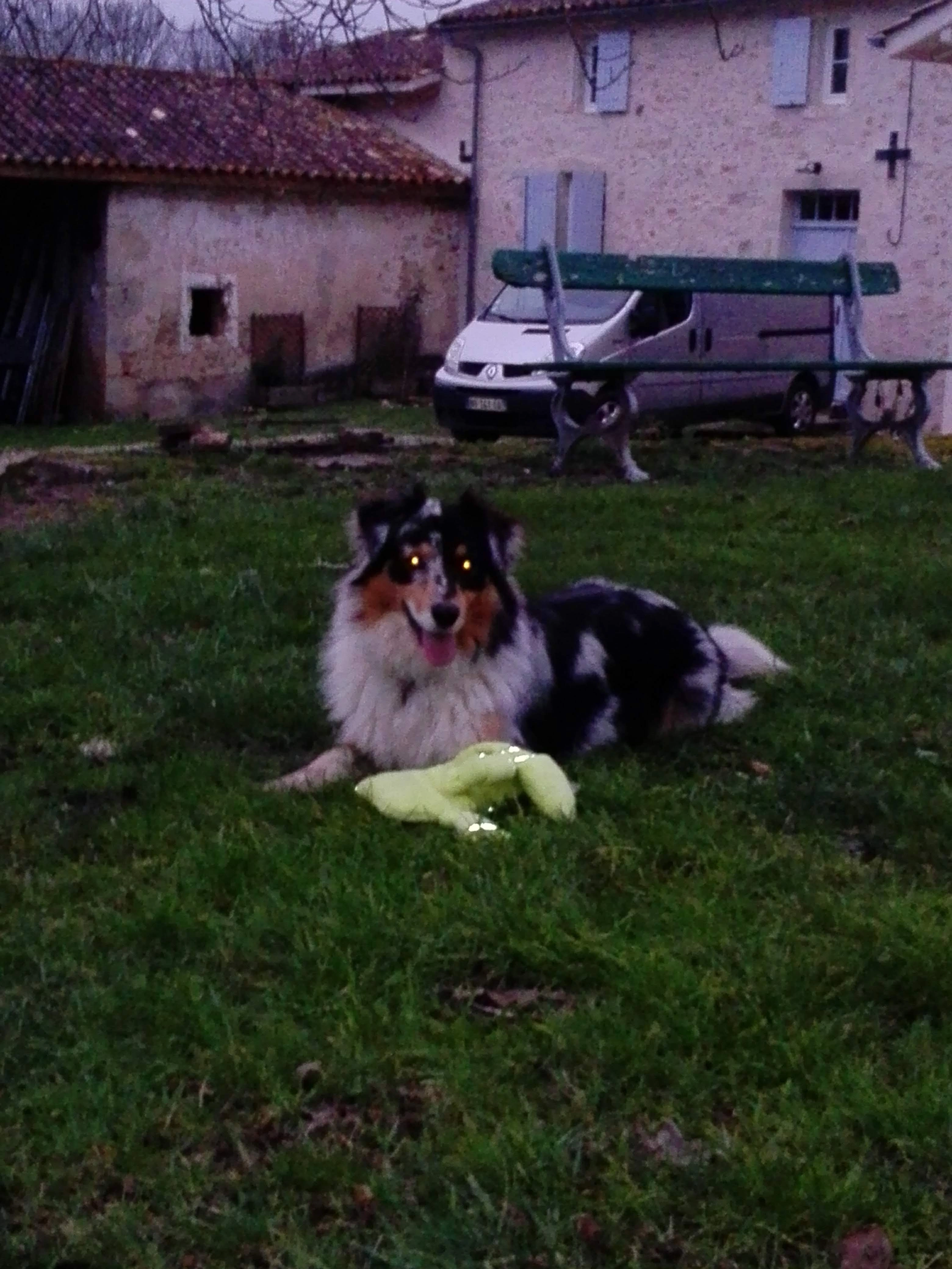 Nala - Route du Moulin, Le Nizan