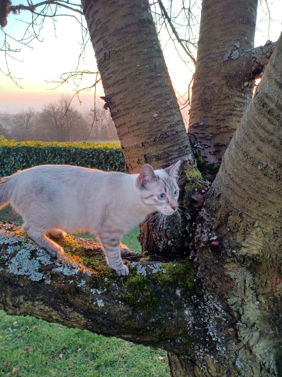 Vivo - Chemin Des Grandes Femmes, Bussières