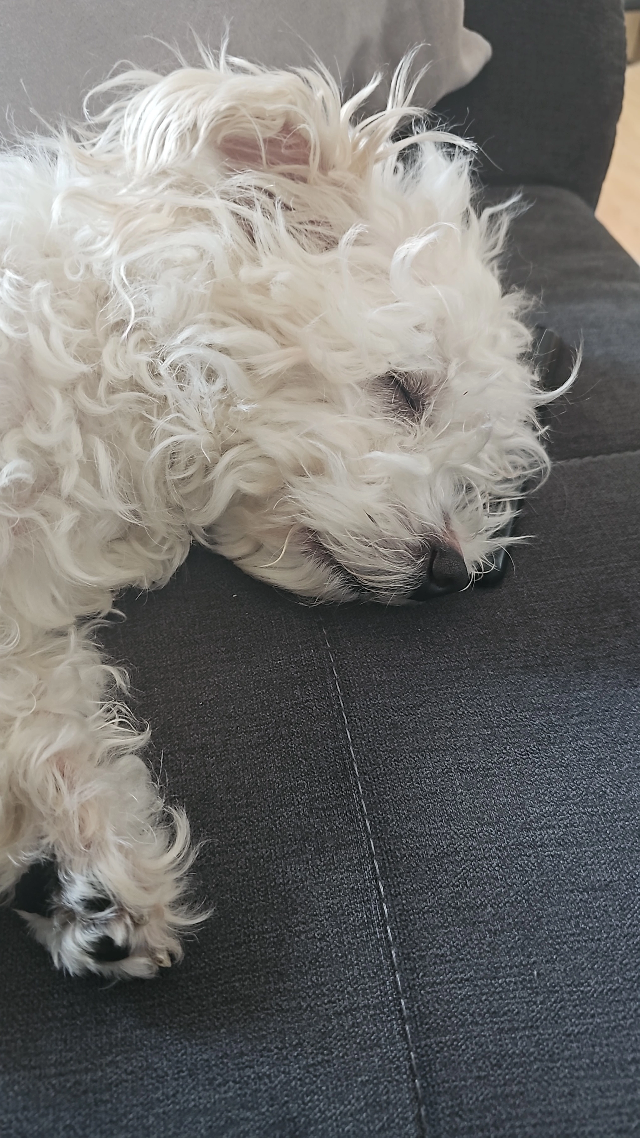 Emo - Vogelsbergstr, Büdingen