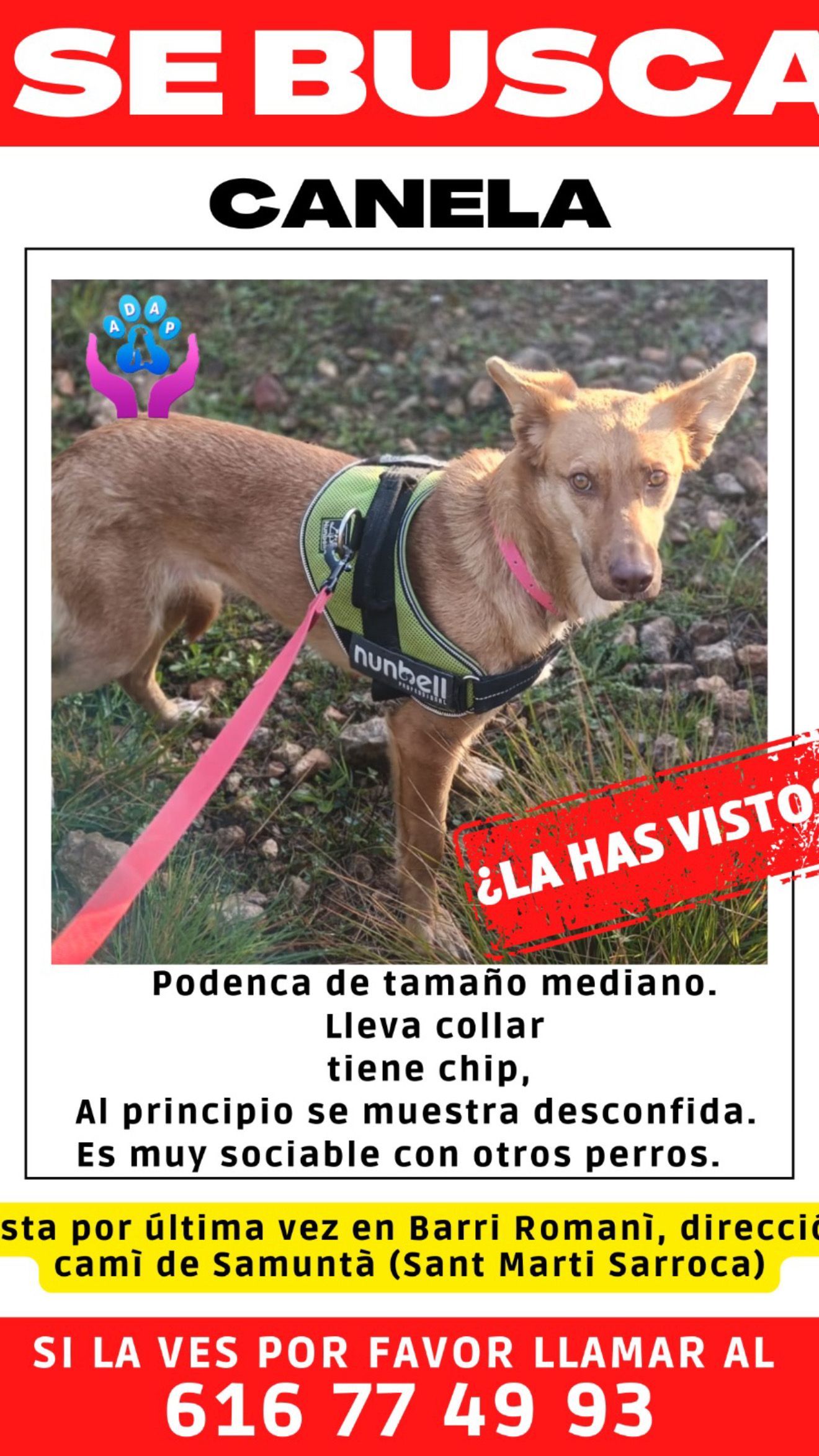 Canela - Camí De Les Conilleres A Cal Torres, Sant Martí Sarroca