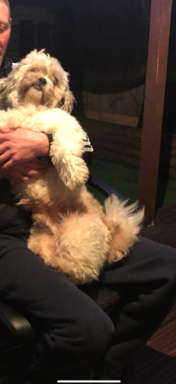 Pufi - 131 Farmilo Road, Mansfield