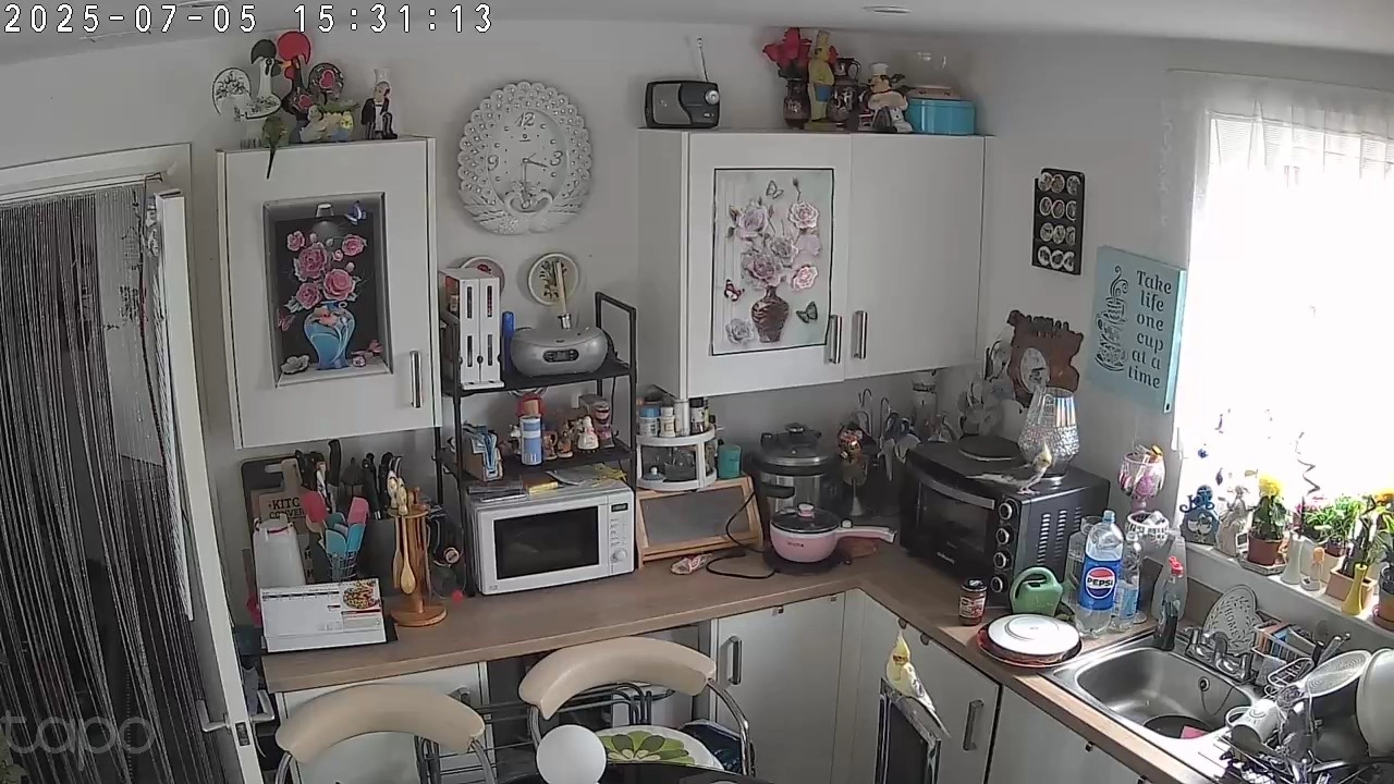 Jacob and Ricky - ST16 3YH, Stafford