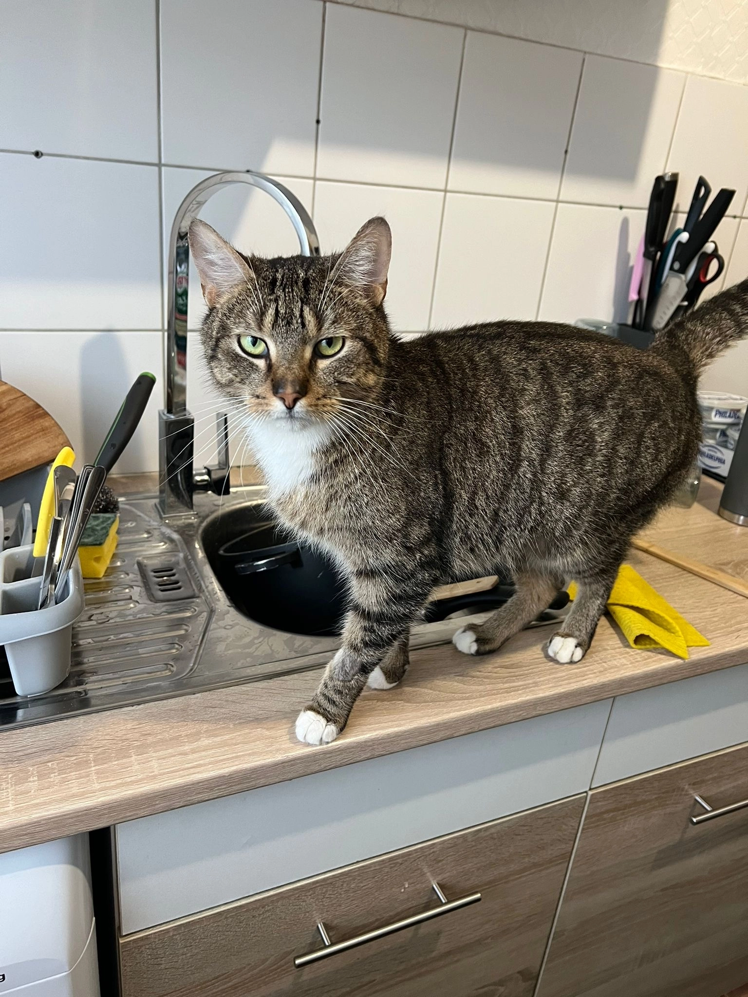 Ciao - Eichenstraße, Maumke