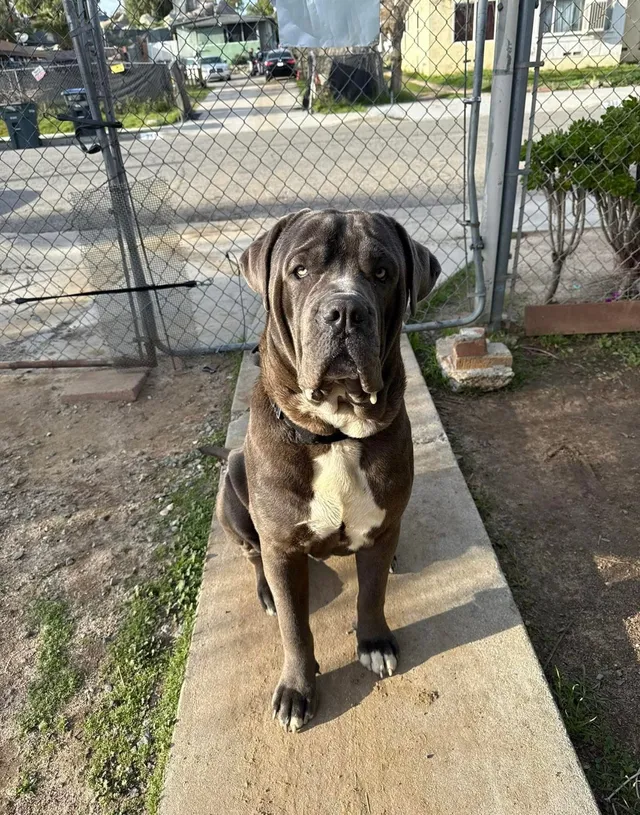 Zeus - 255 W 1st St, Perris