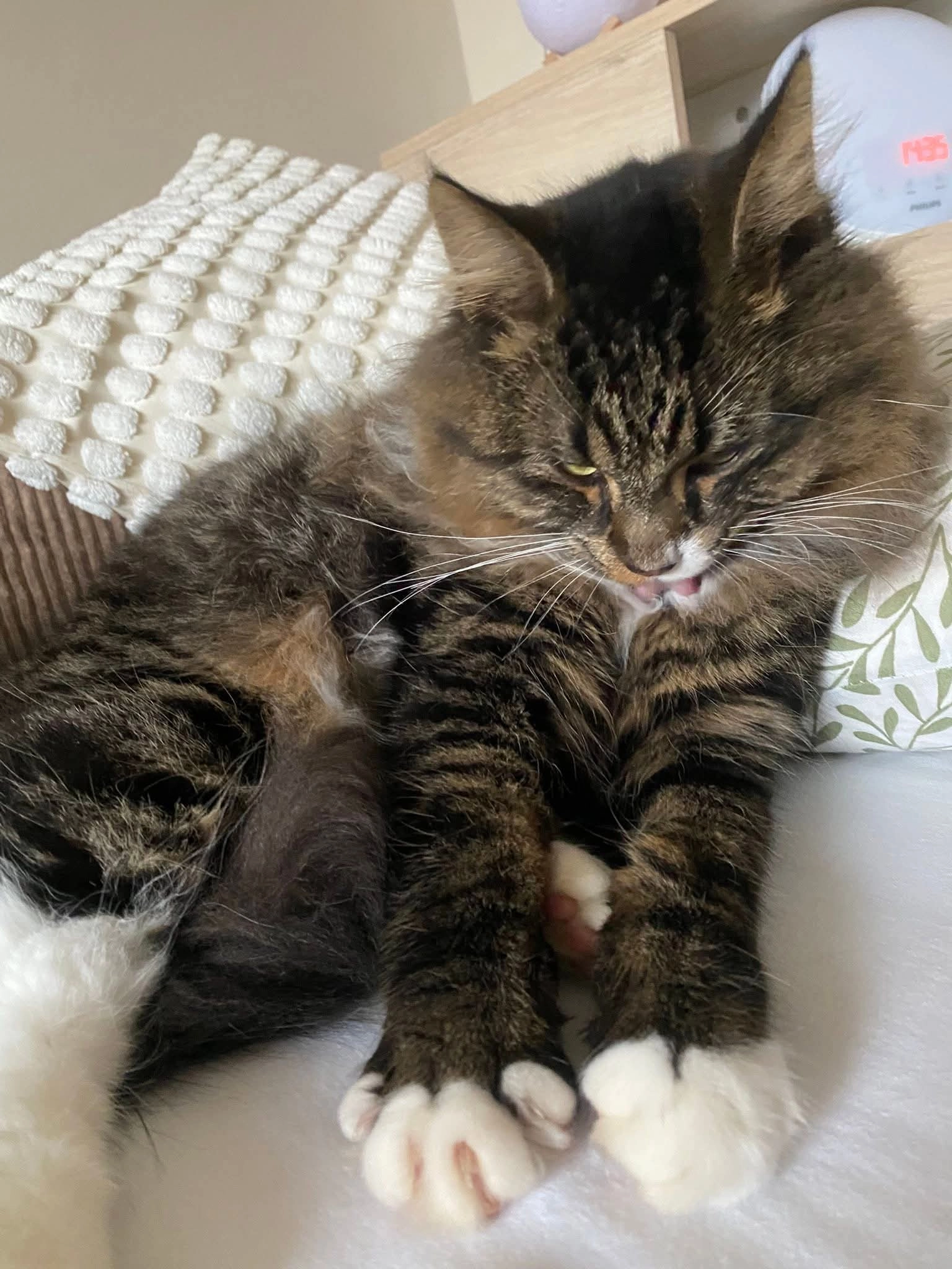 Woody - Wevinnestraat, Diest