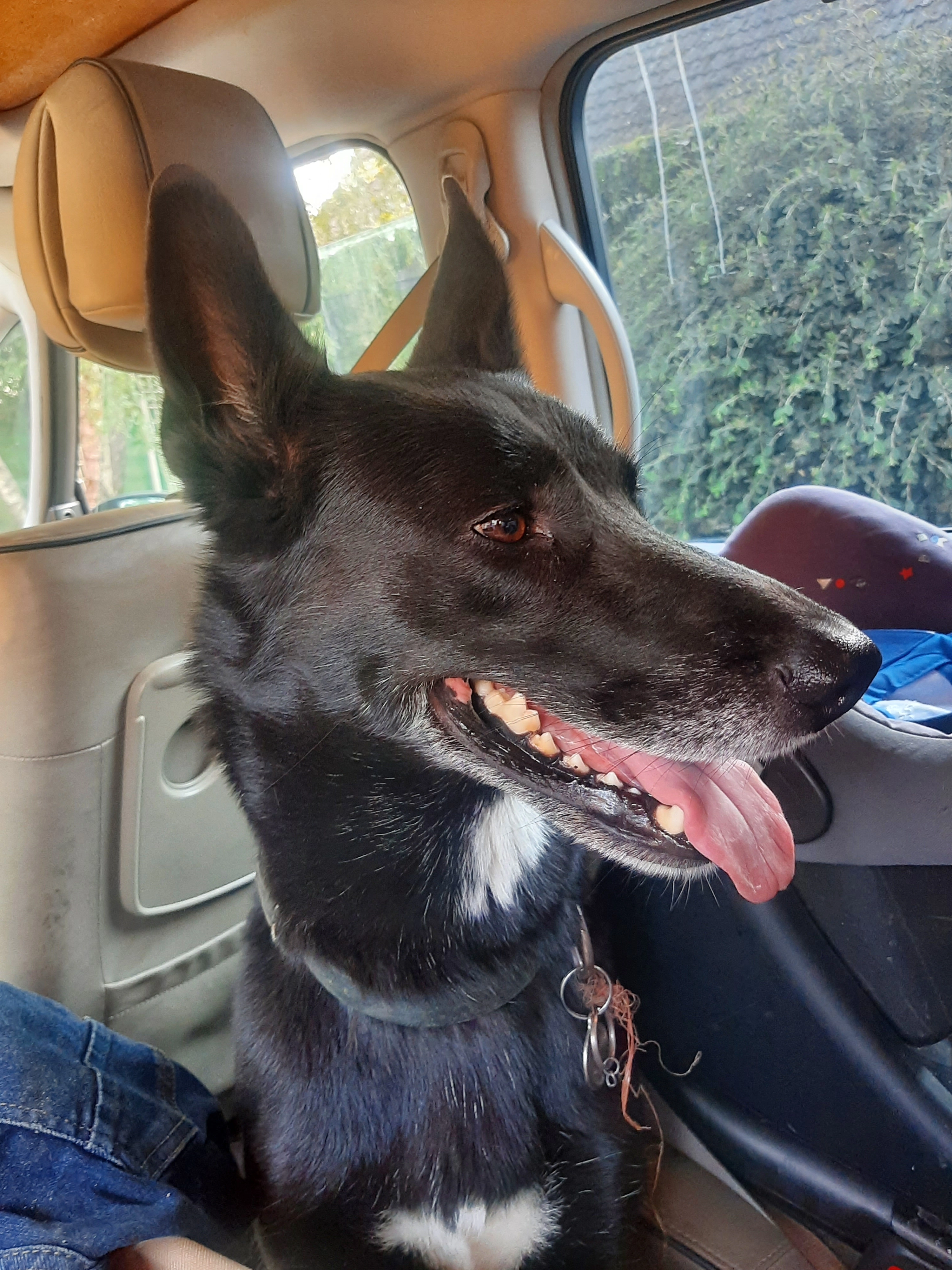 Rubis - Rue de l'Industrie, La Ville-aux-Clercs