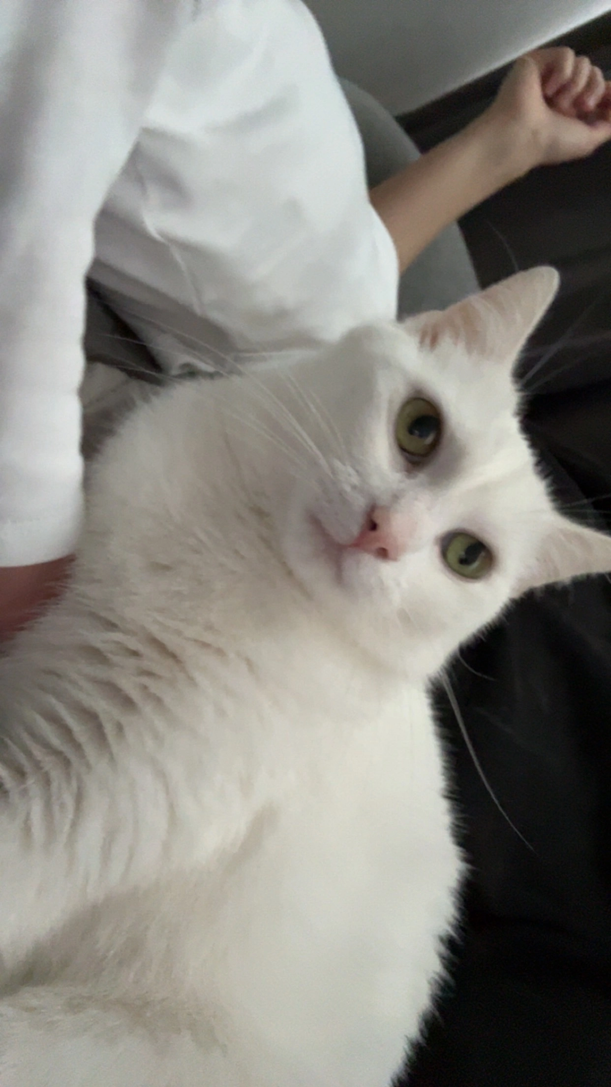 michael - Am Feuerwehrhaus, Peine