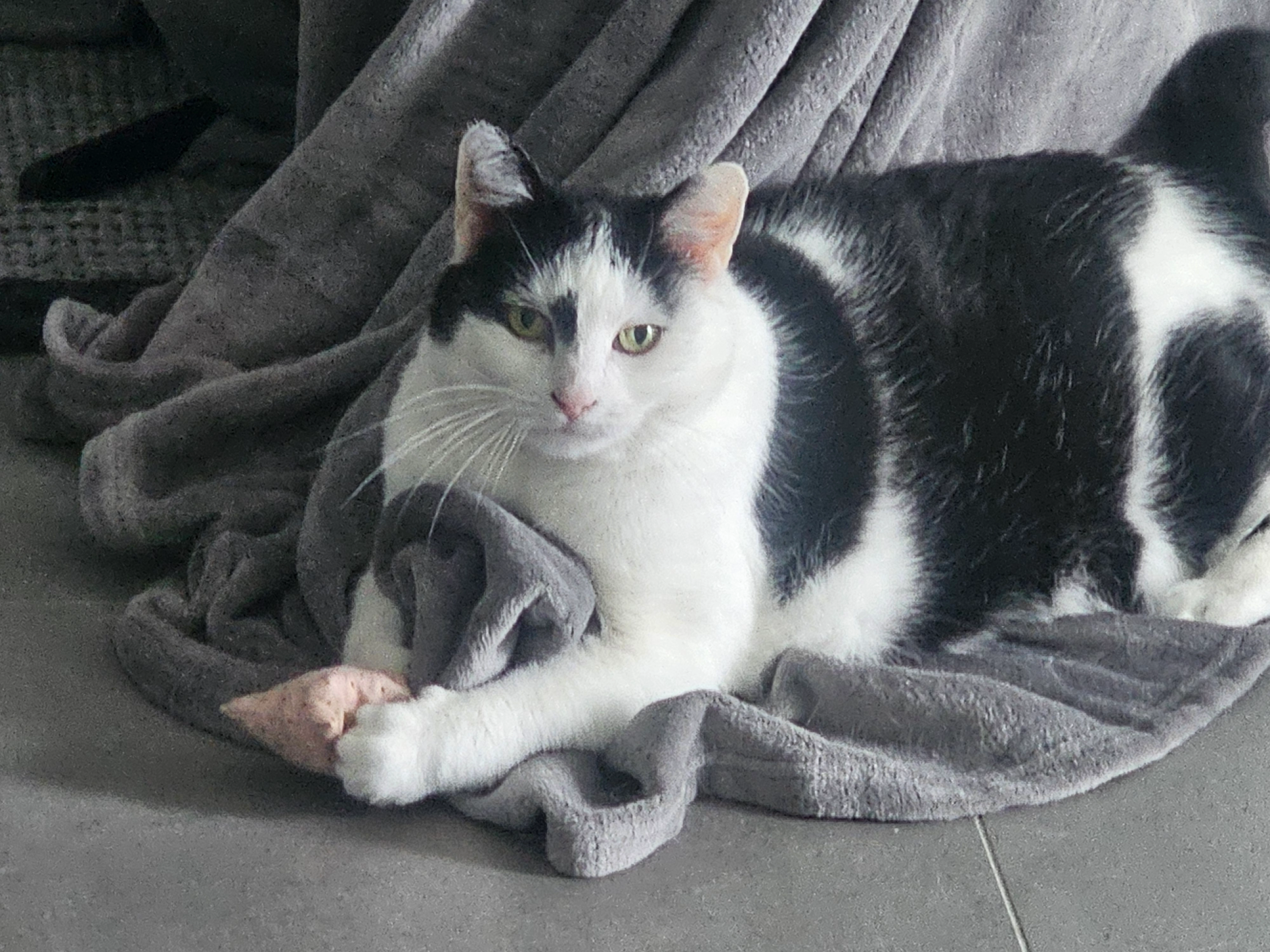 Lilly - Zum Ukleisee, Eutin