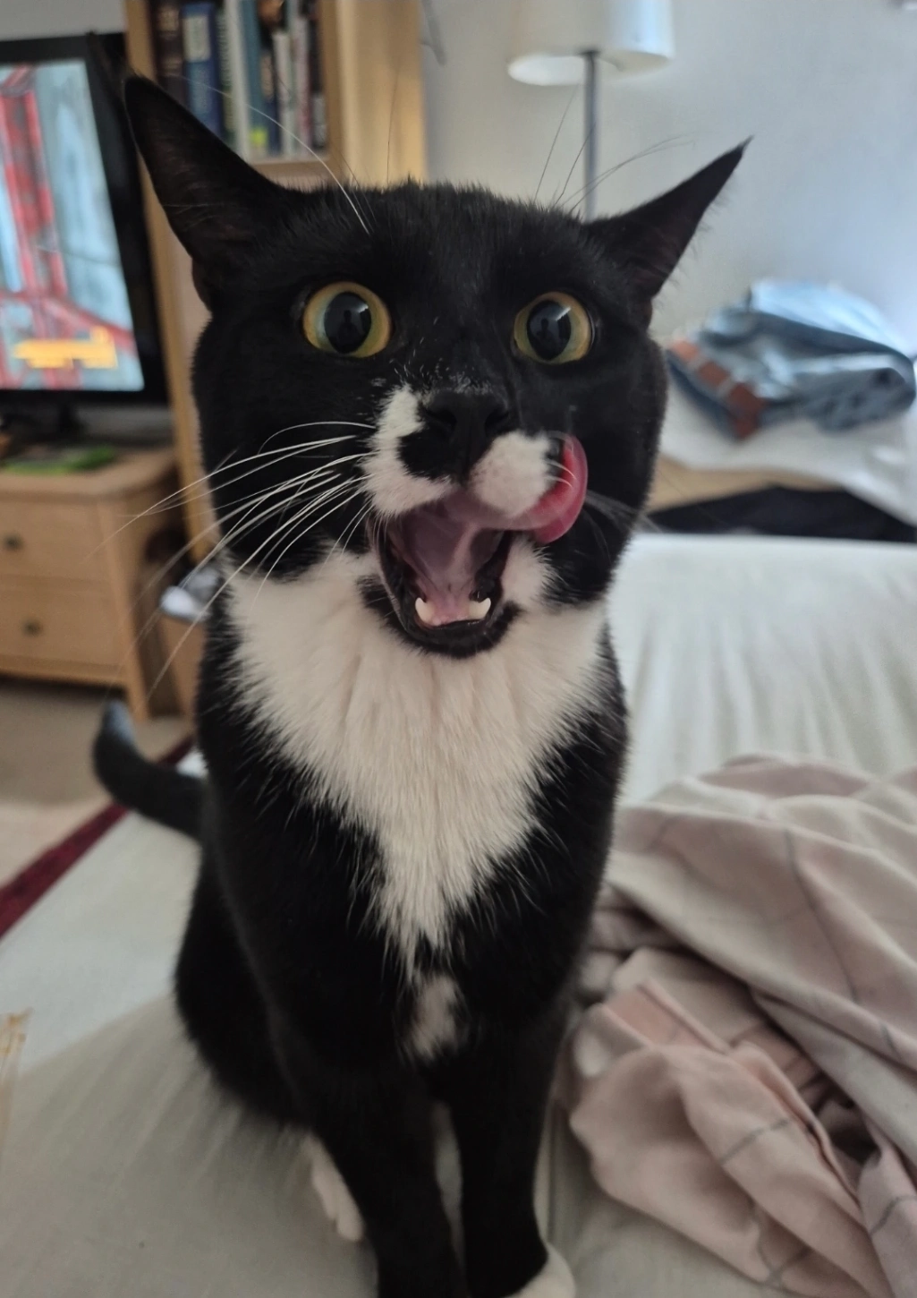 Tito - Broadwater Street West, Worthing