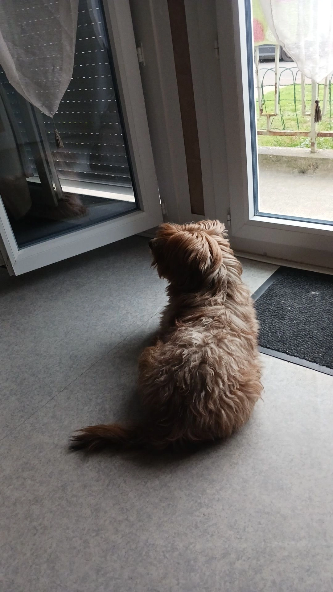 Iron - Rue Jean Guillot, Moulins