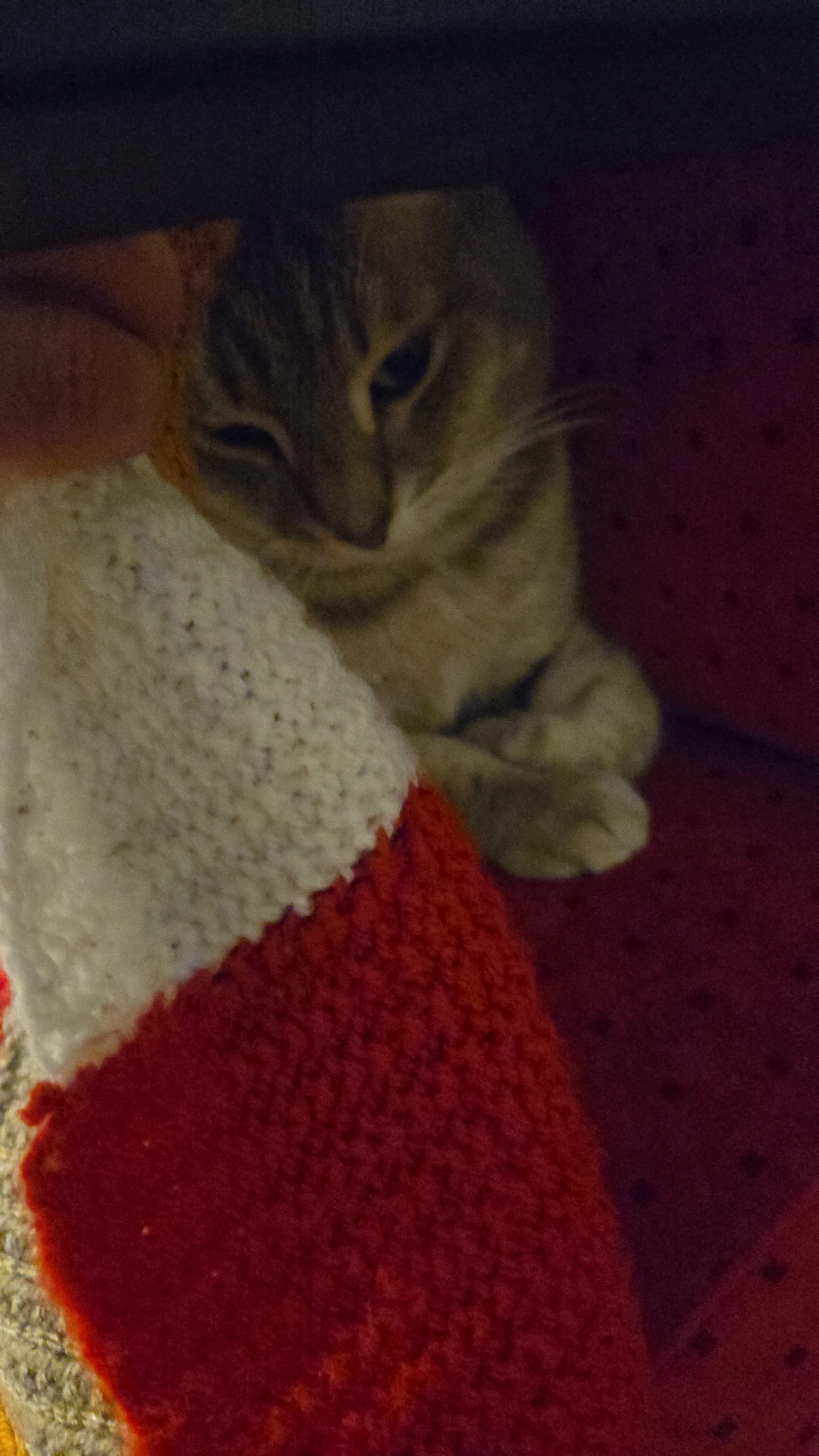 arobase - Rue De La Tannerie, Subligny