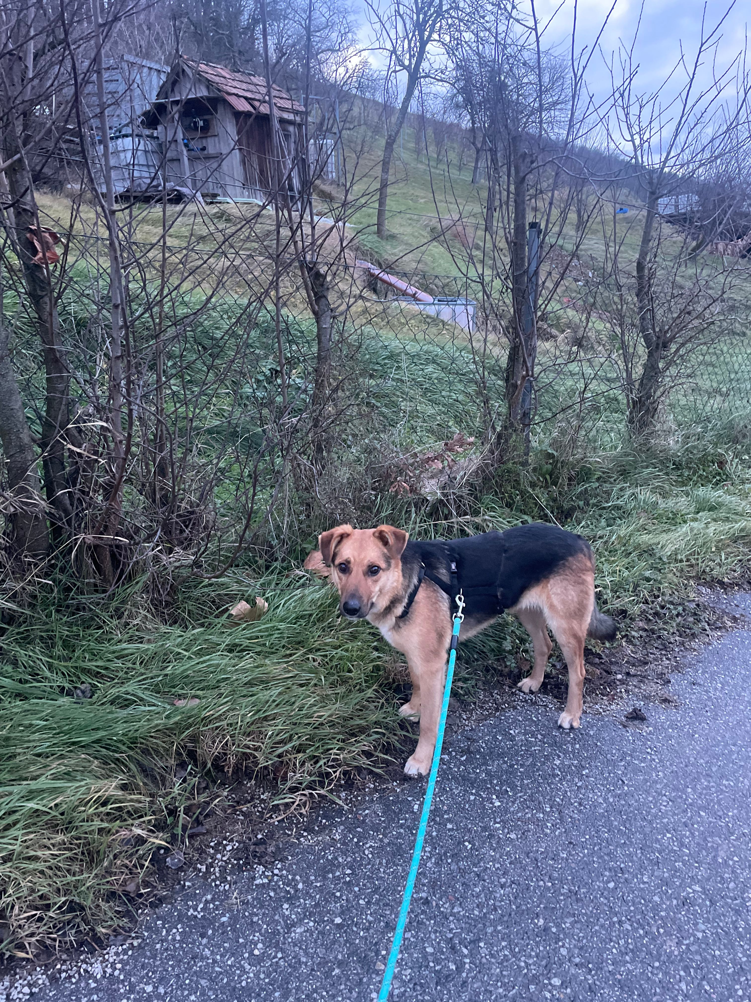 Ontario - Am Sonnberg, Hafnerbach