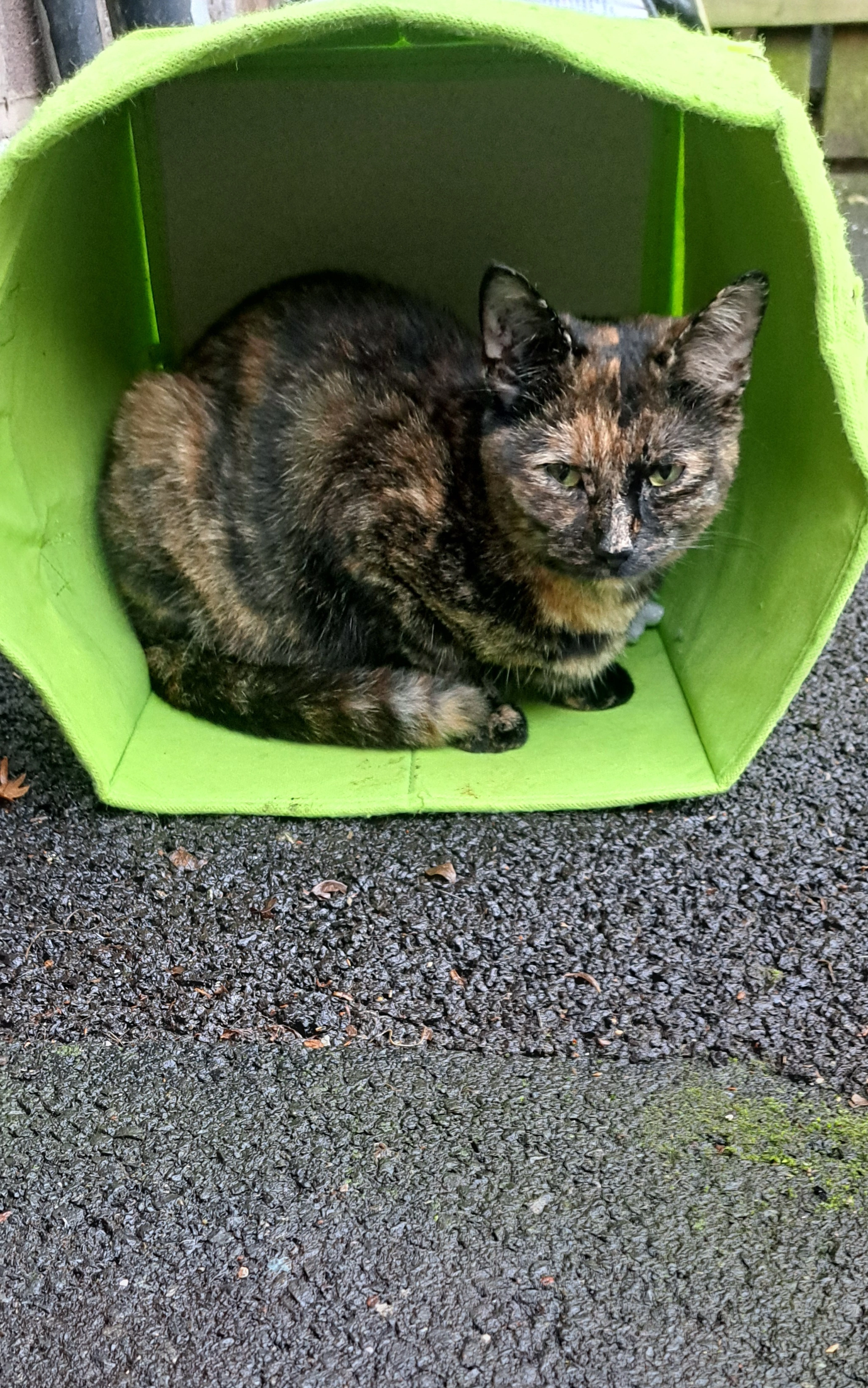 Leah - Clough Road, Manchester