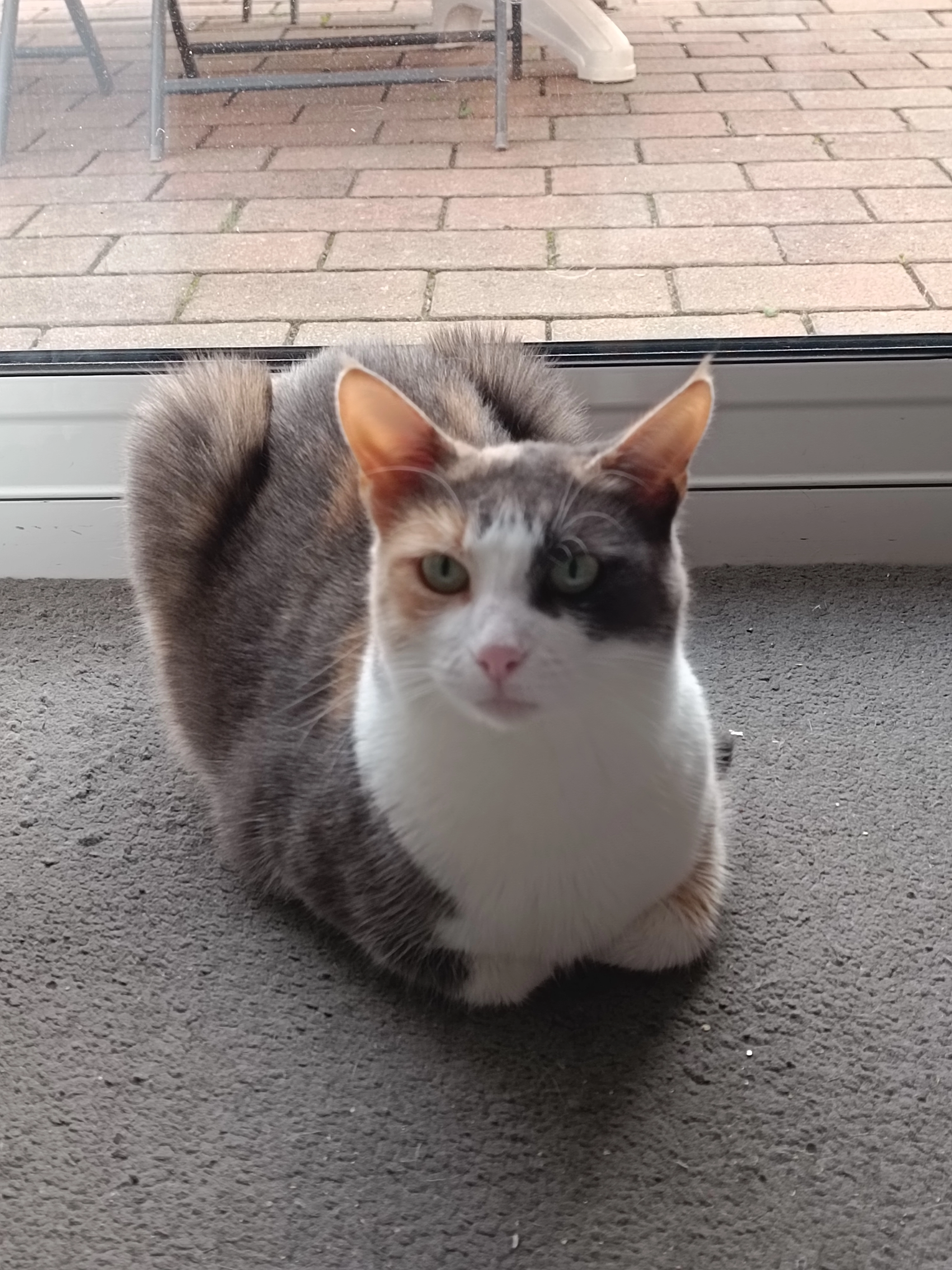 Semba - Rue Des Quatre Vents, Quiberon