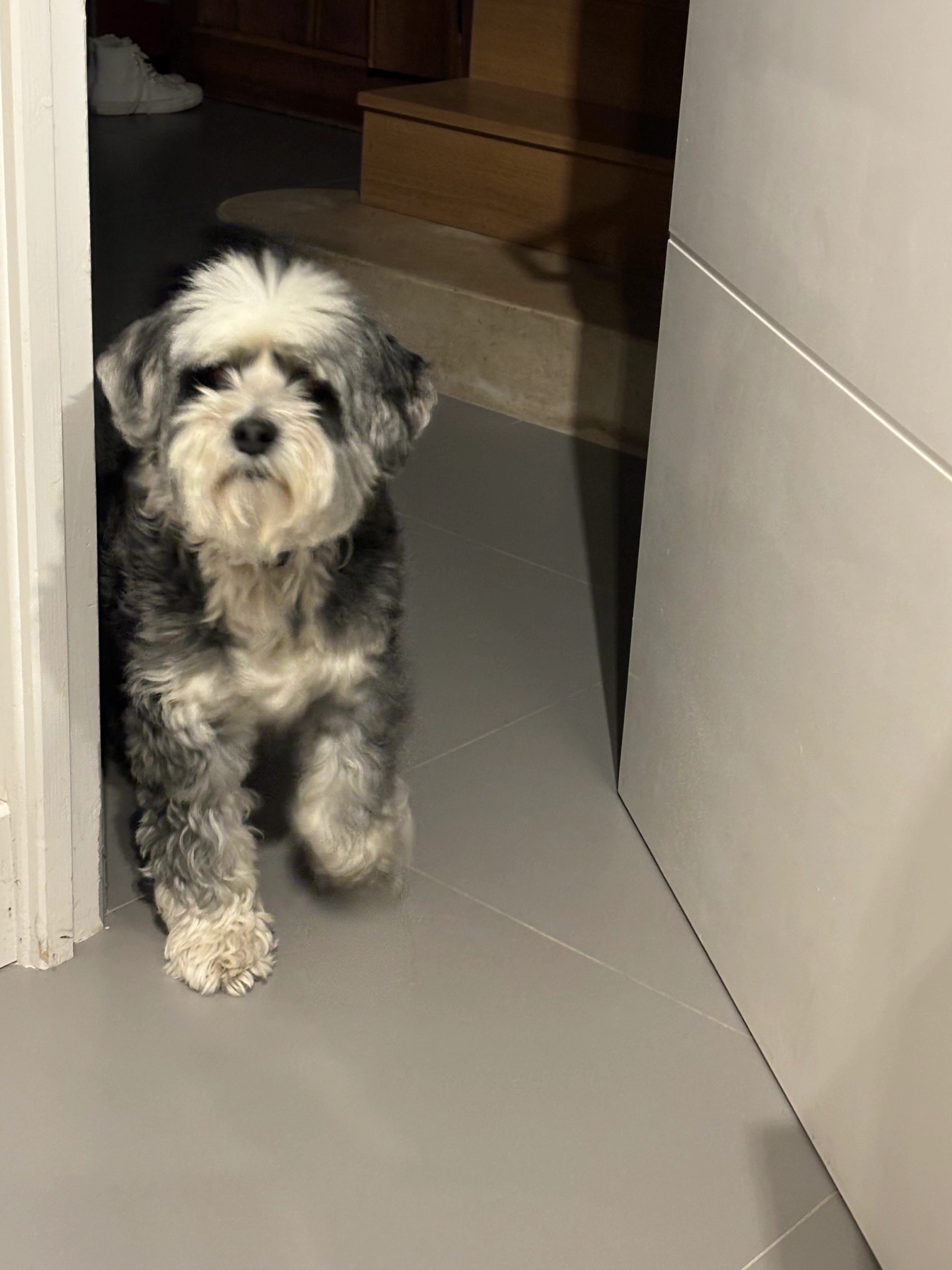 Hipop - Fokkeplein, Leiden