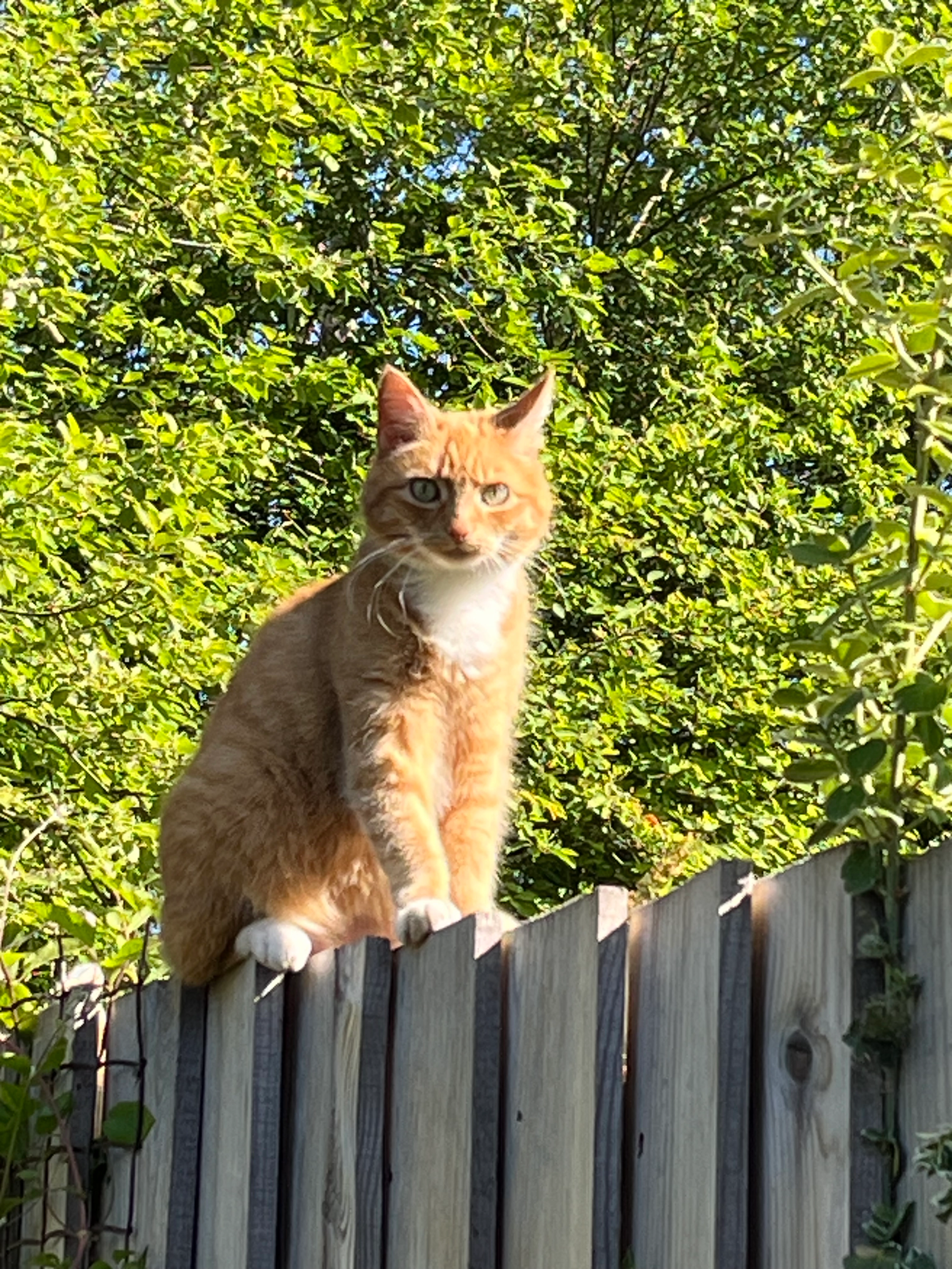 Jessica - Cragganmore Place, Scotland
