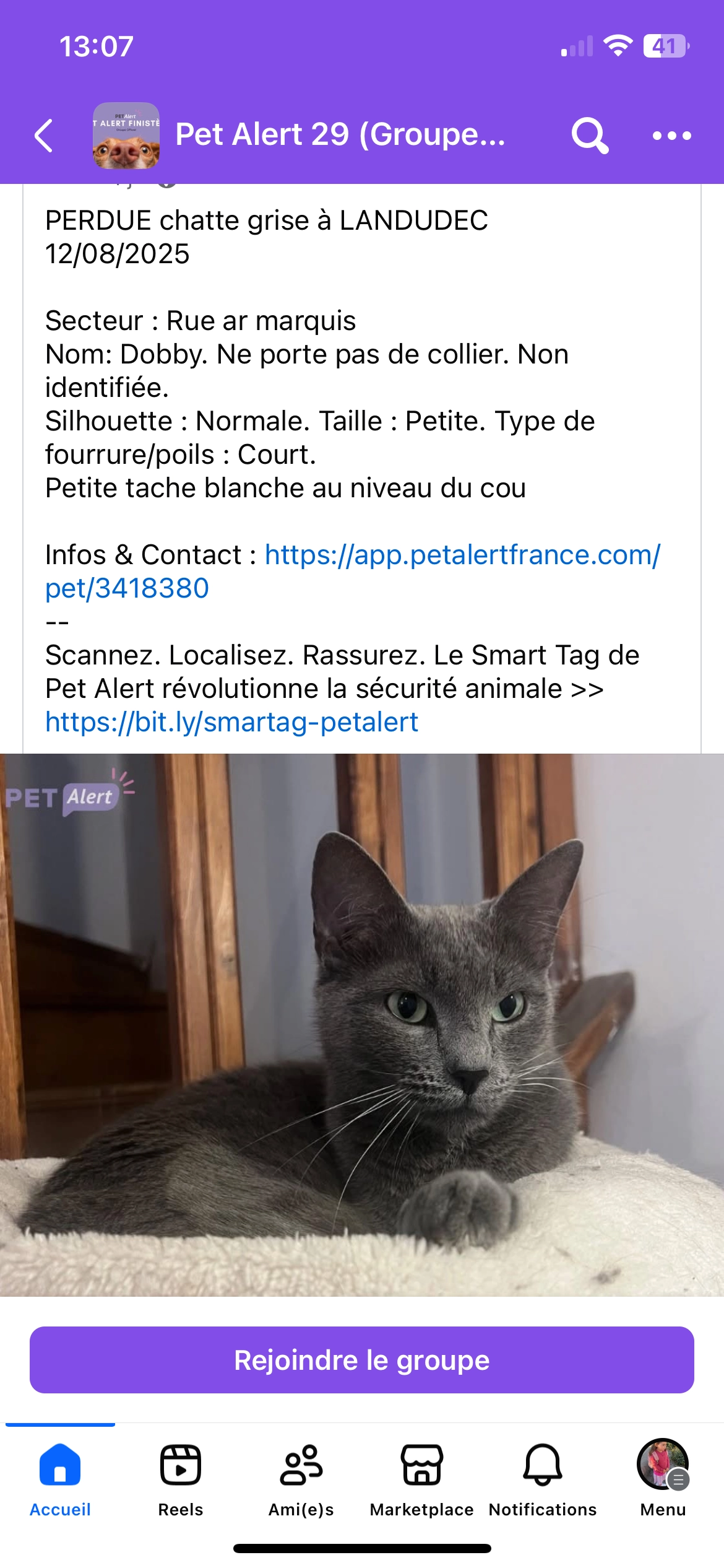 Dobby - Rue Ar Marquis, Landudec