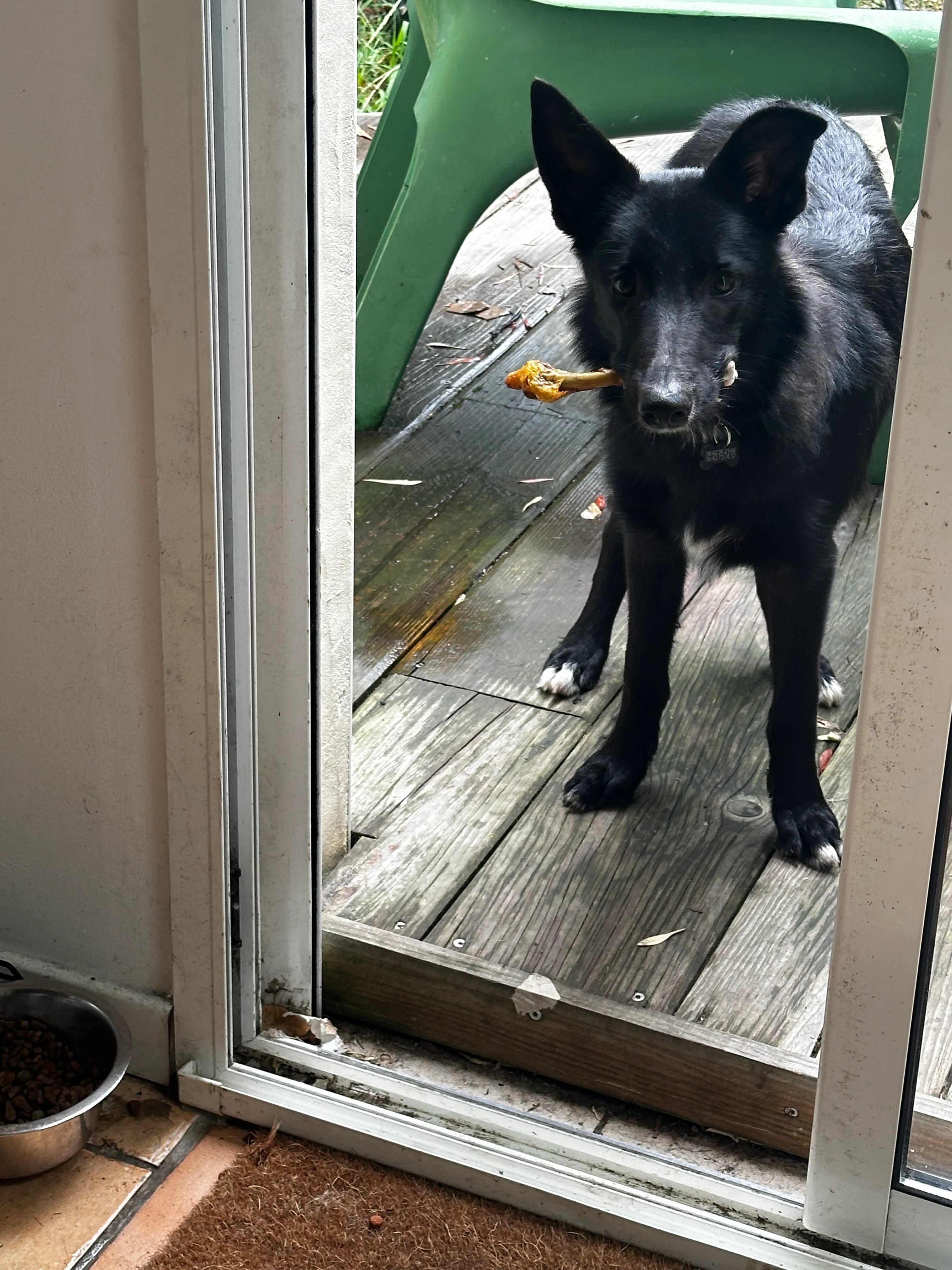 Spider - 4 Impasse Riquet, Blagnac