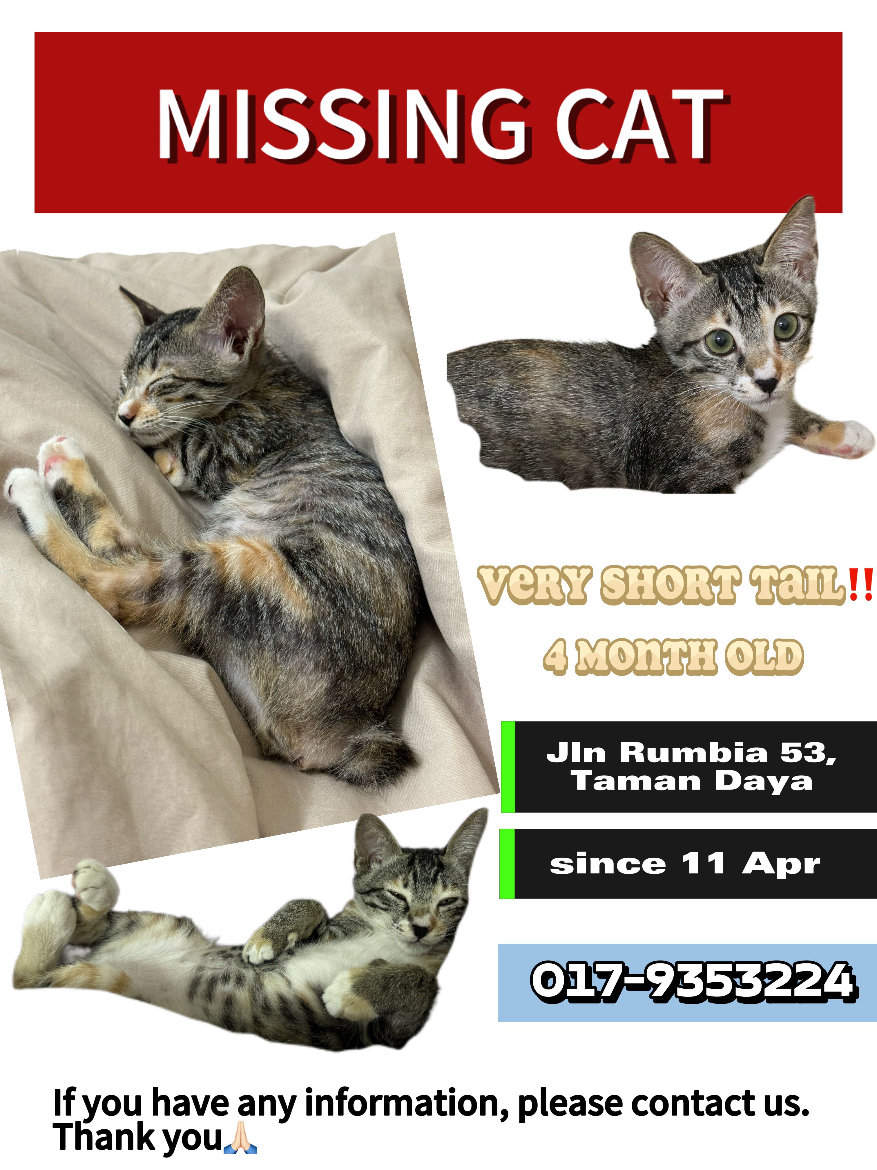 Ah Lai - Jalan Rumbia 53, Tampoi