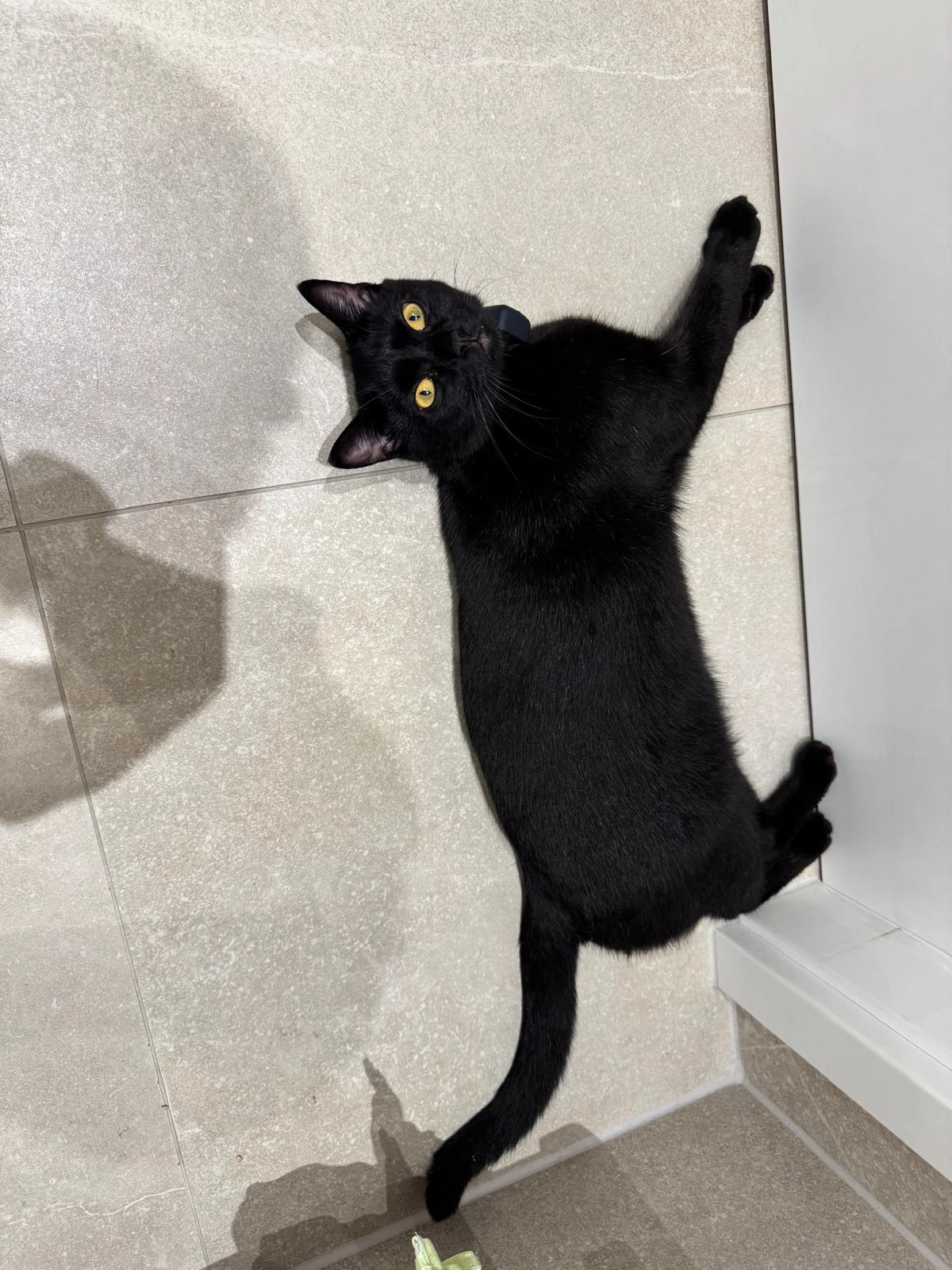 Barsik - Bardroffstraße, Aschaffenburg