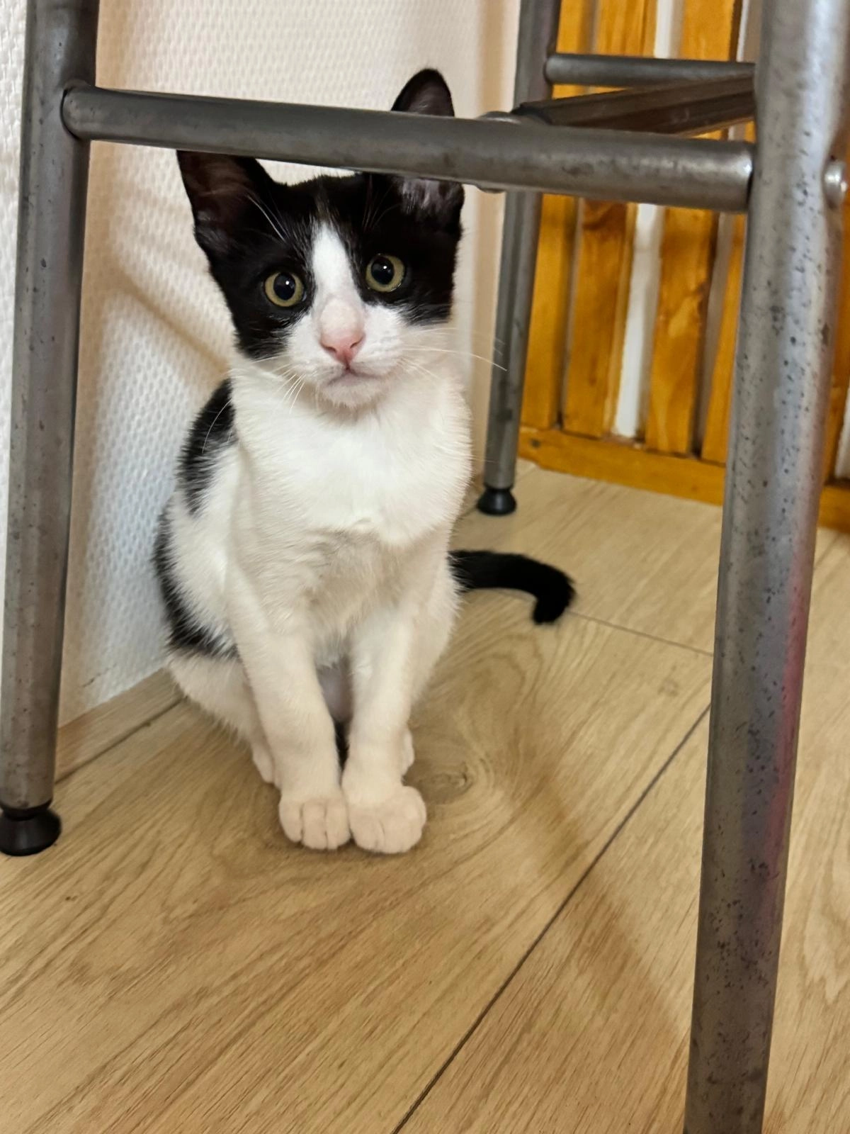 Suzi - Emmastraat, Sliedrecht