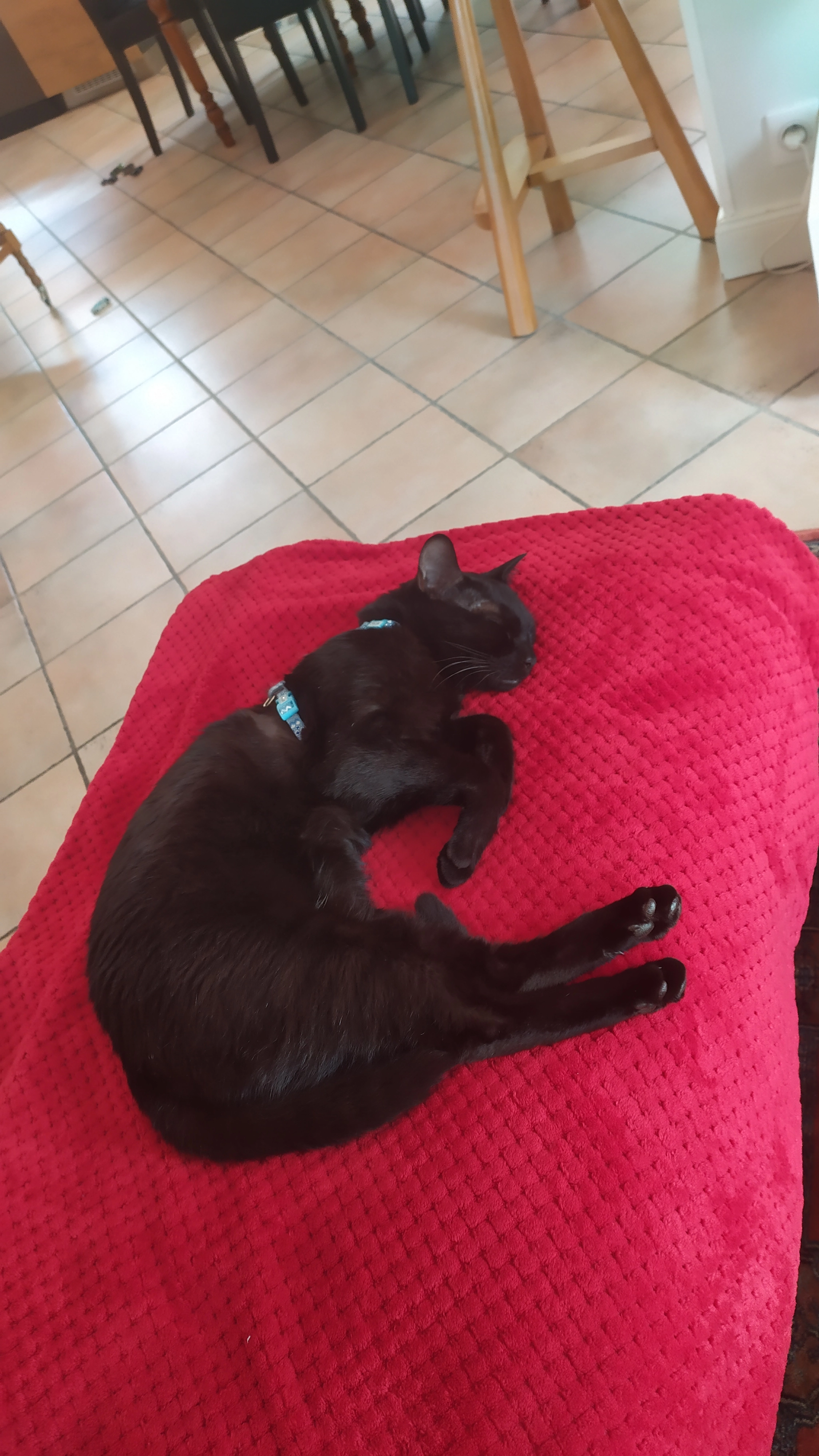 CATCHOU - Avenue Jean Jaurès, Nérac