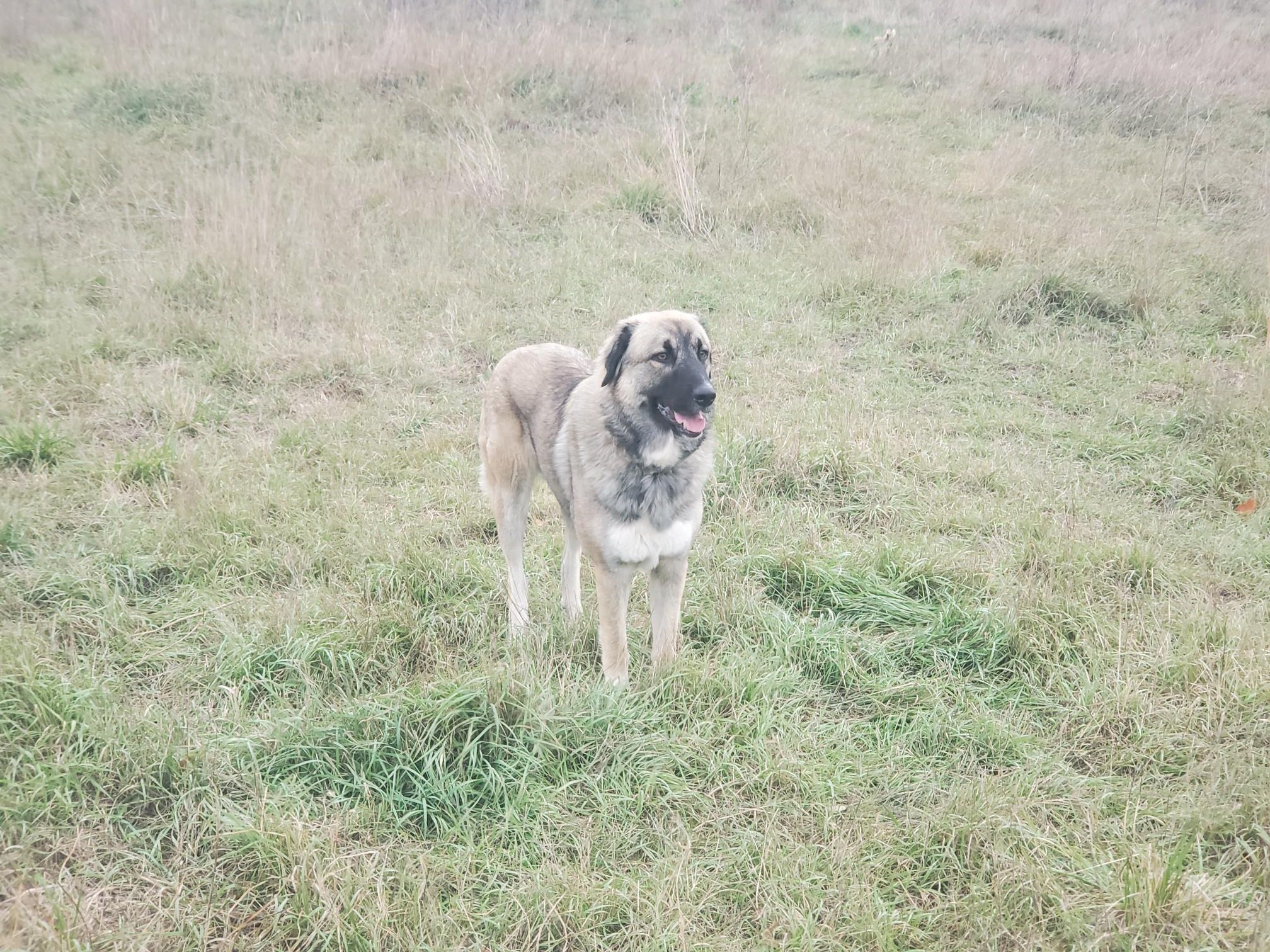 sun - Cours Mirabeau, Aix-en-Provence