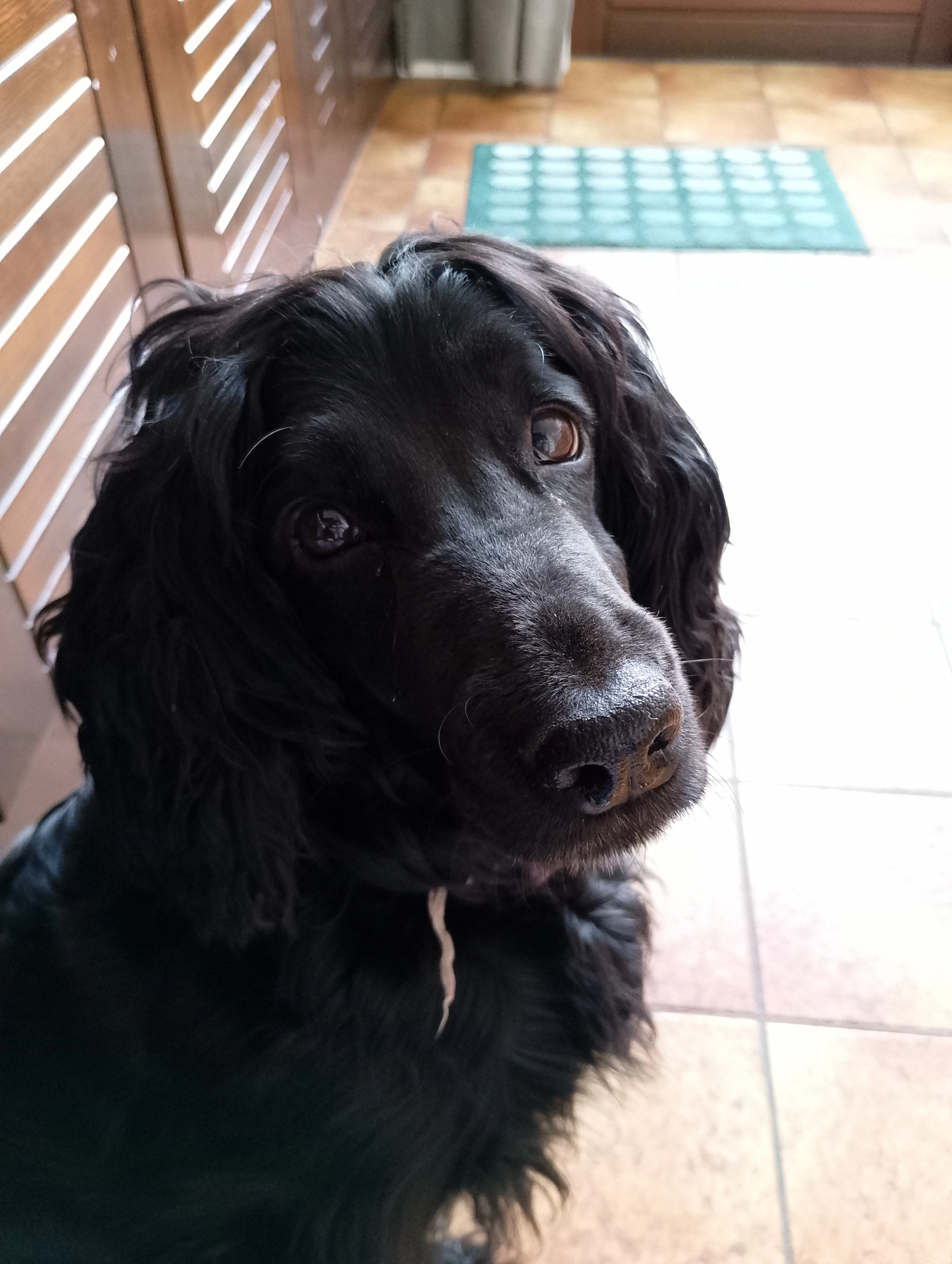 Tara - Ruys De Beerenbroucklaan, Urmond