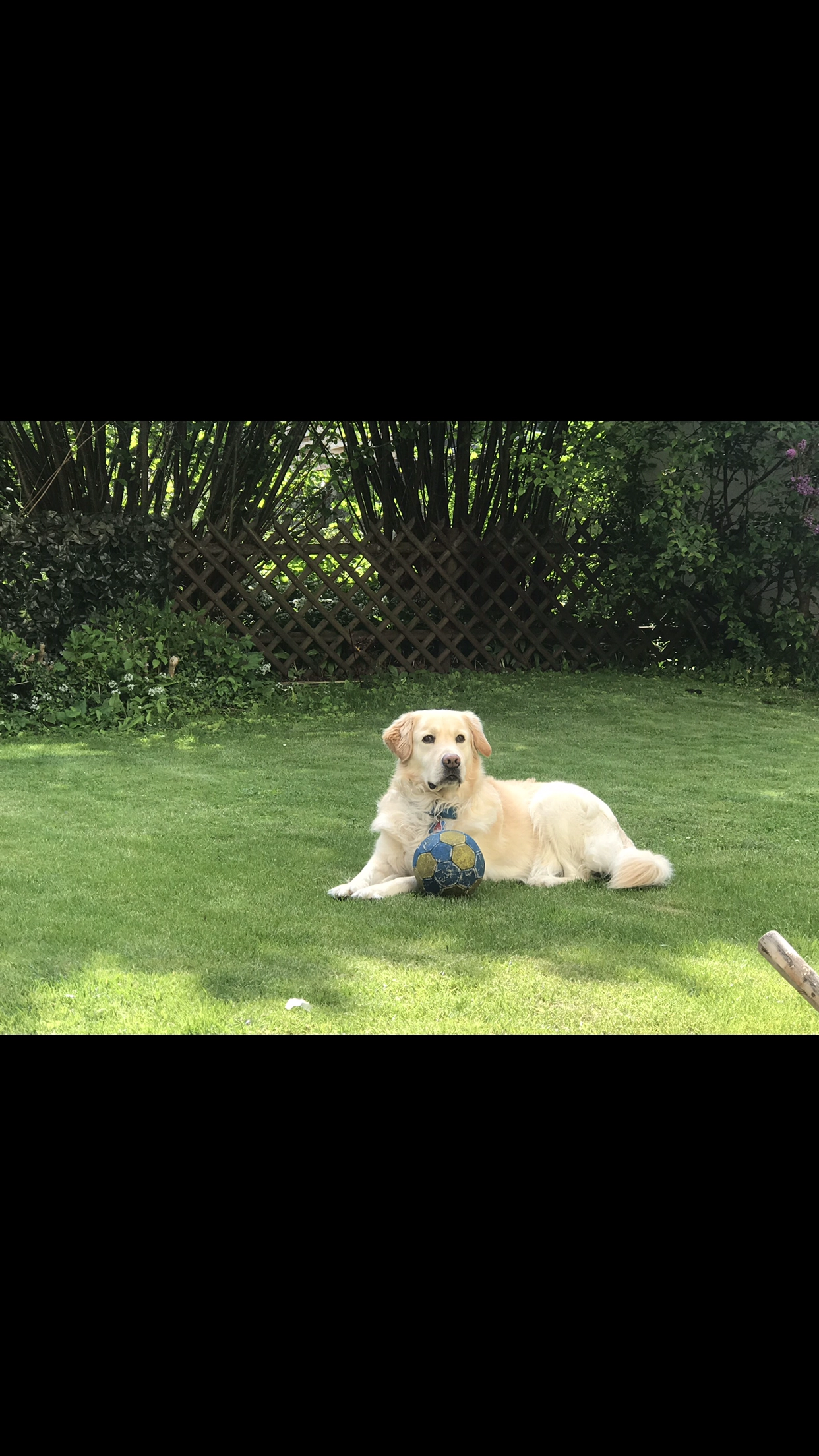 Aris - Walter-Rathenau-Straße, Villingen-Schwenningen