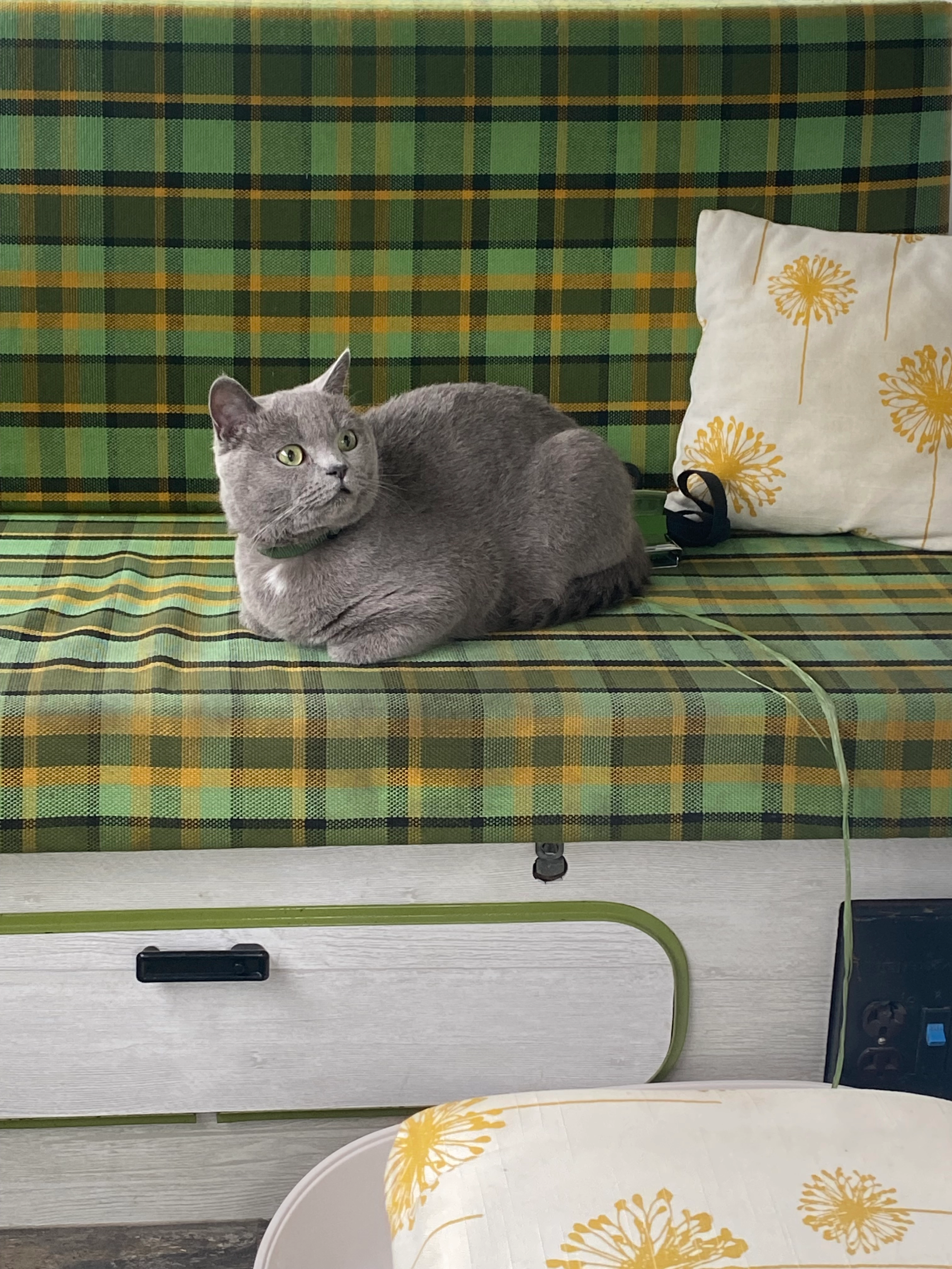 Leo - Bei Kaisers Haus 6, 57614 Mudenbach