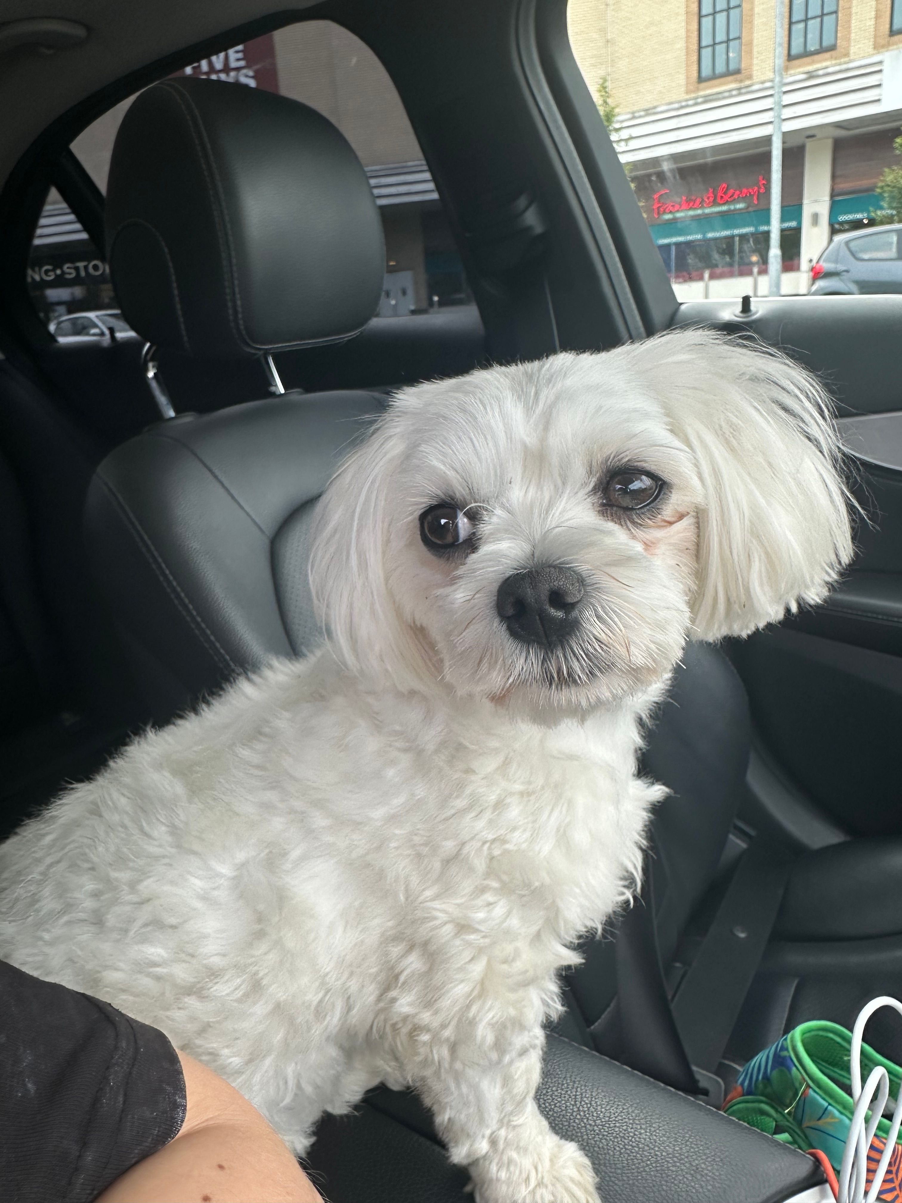 Alexa  - GU22 0, Woking