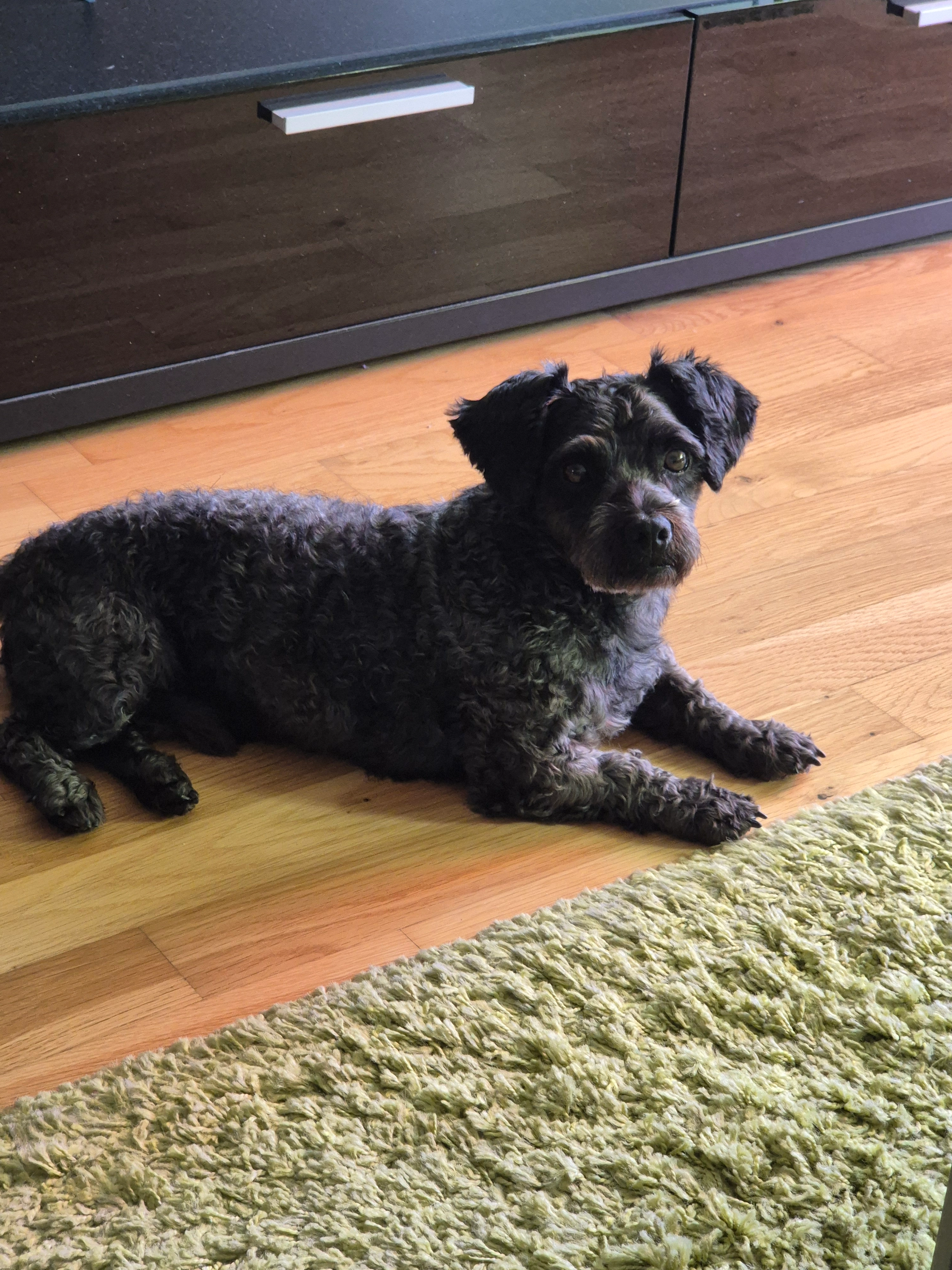 Luka - Gillhofstrasse, Märstetten