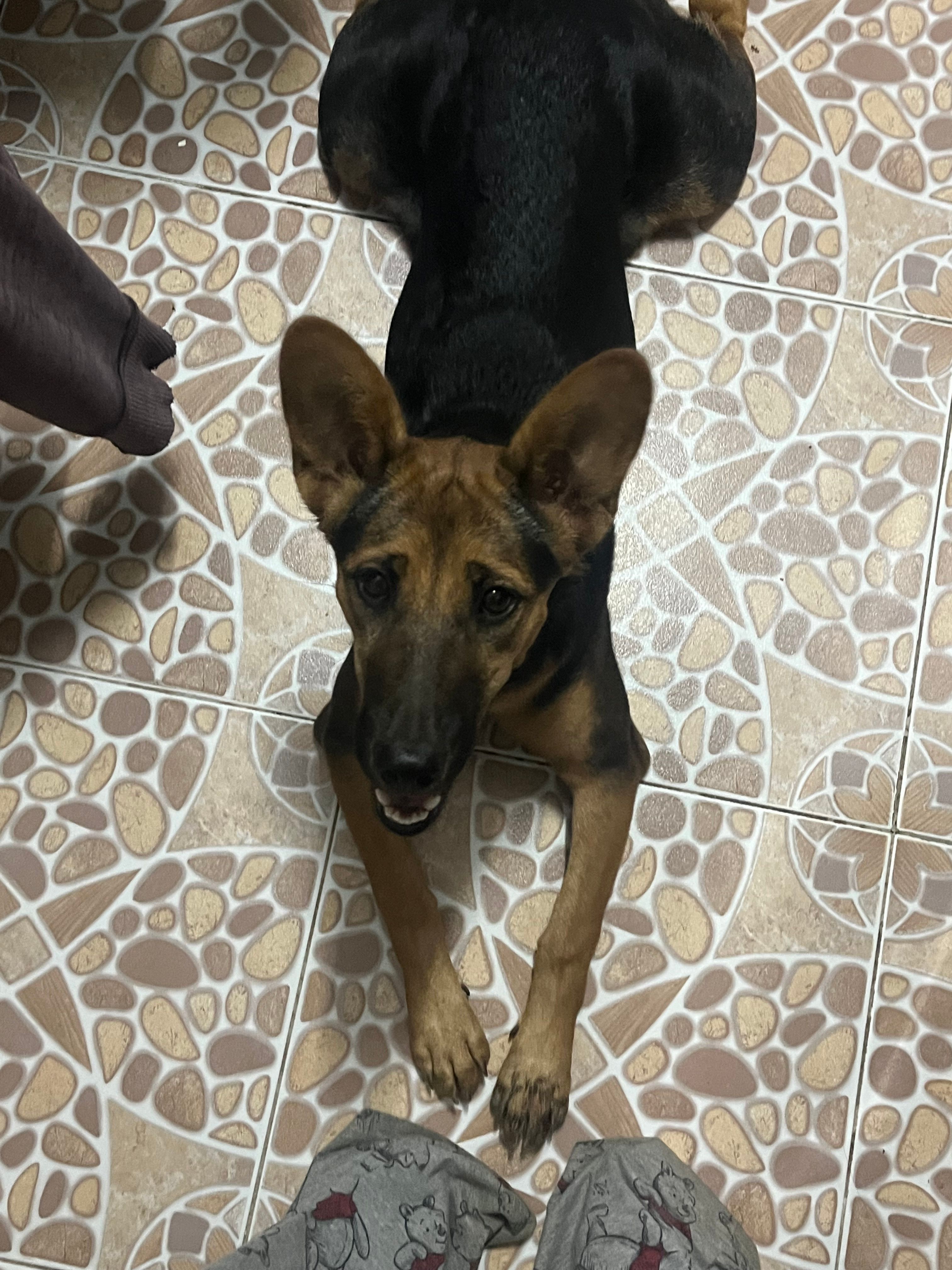 Dummy - 5C Soi 2, Hang Dong