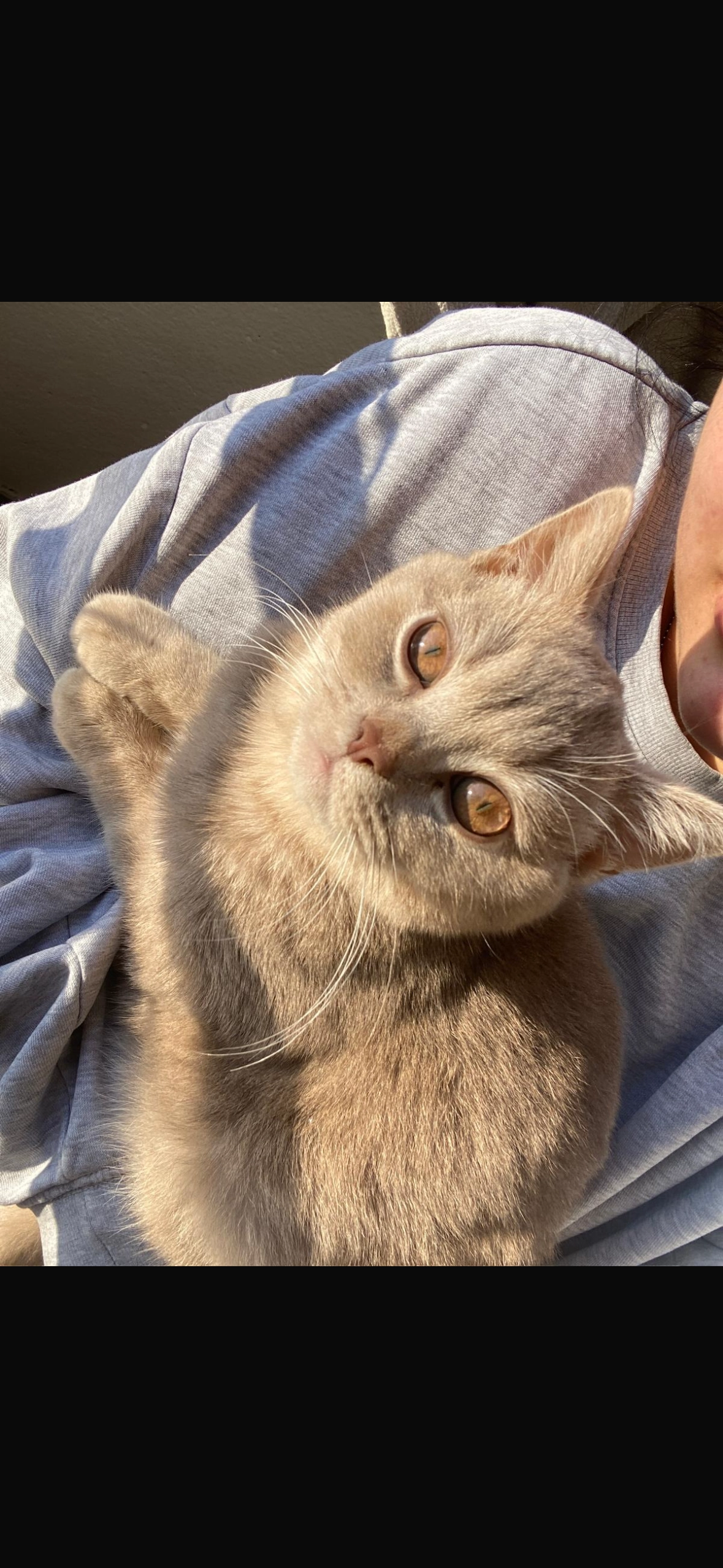 Bobby   - Schlehenstraße, Lippstadt