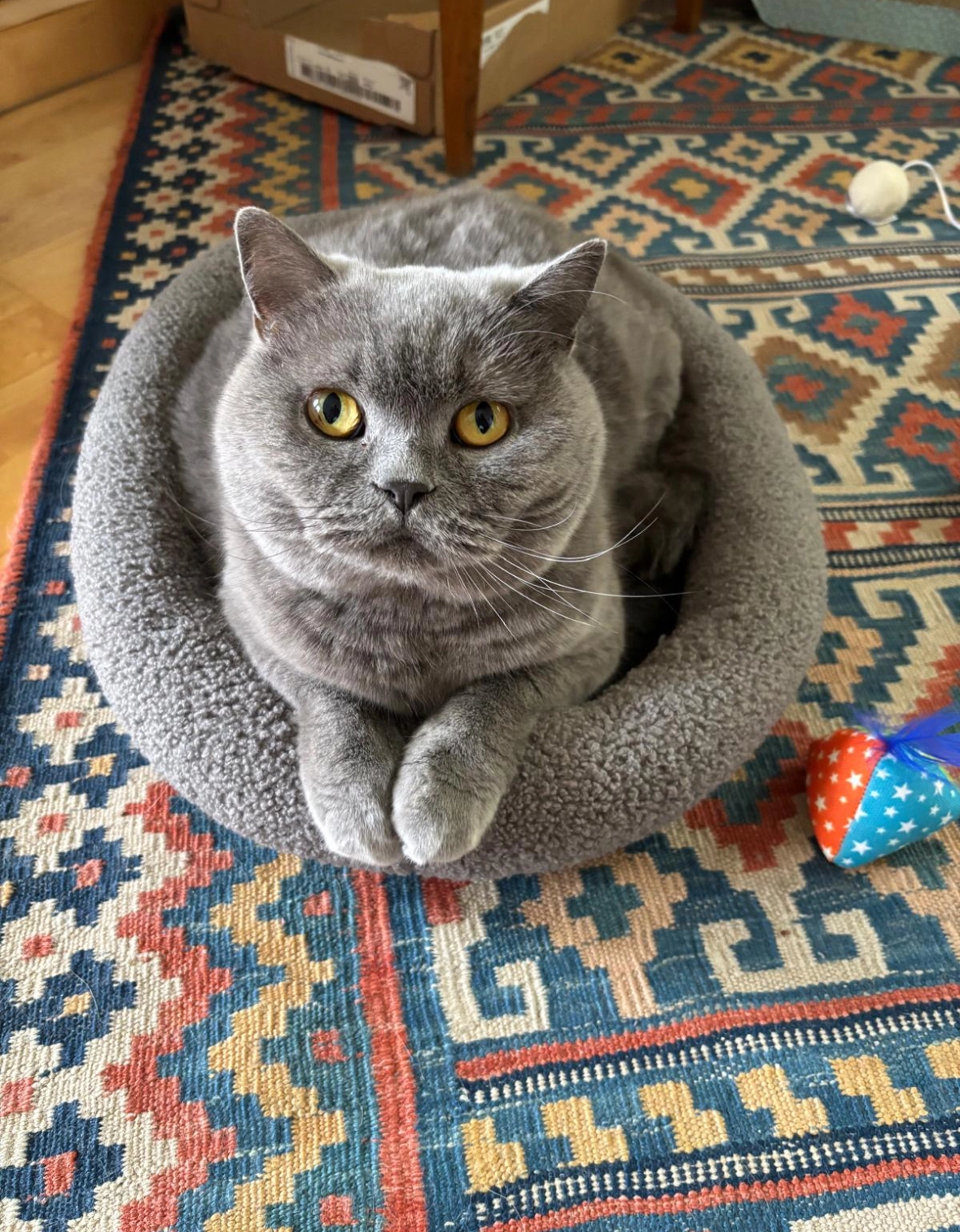 Missi  - Bürgermeister-Herpich-Straße, Neufahrn bei Freising