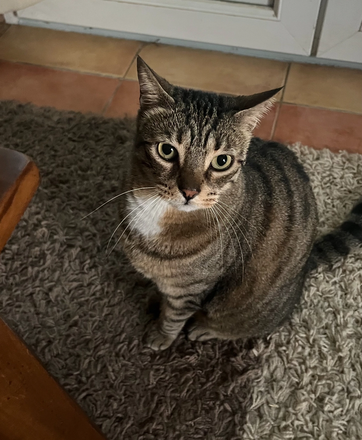 BONNIE - La Fonderie, Le Vaumain