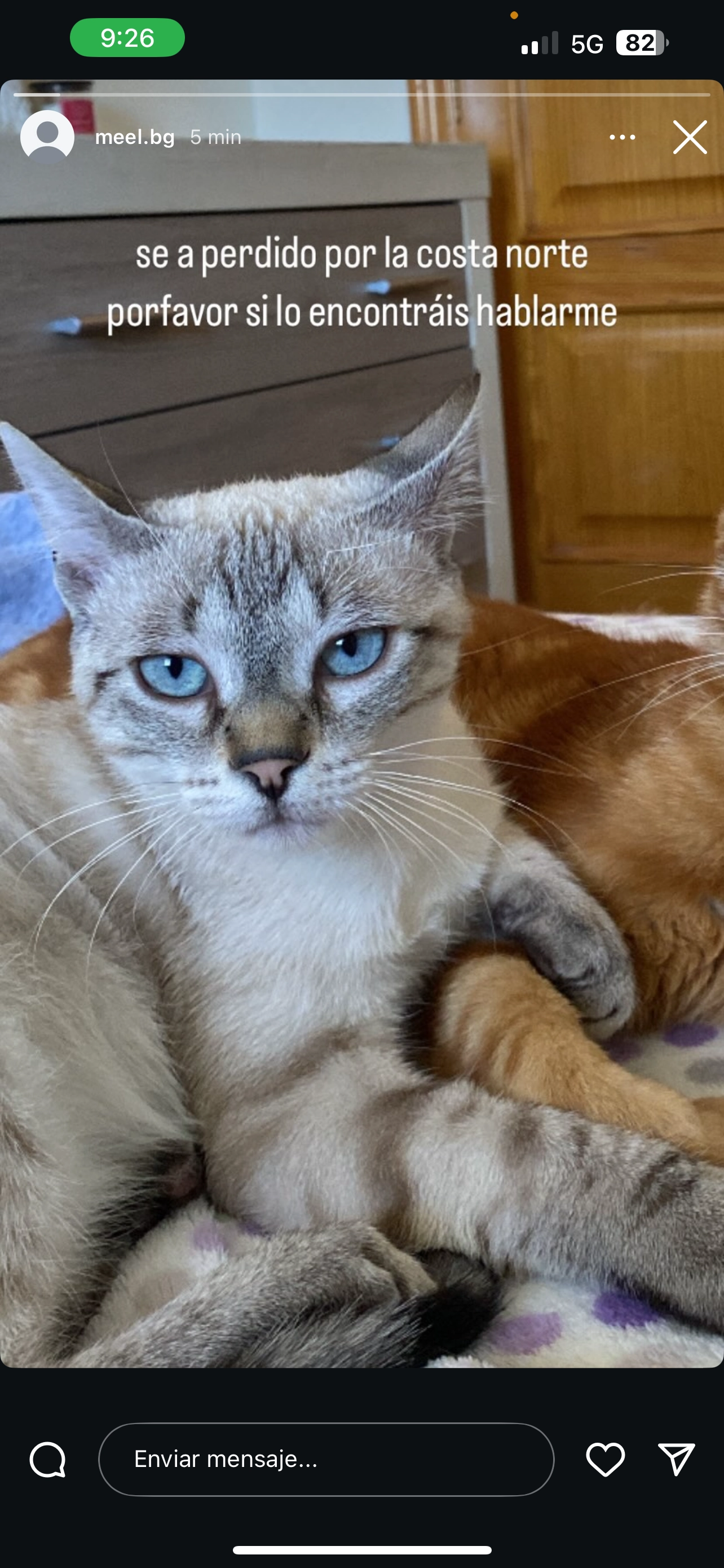 Jerry - Carrer Del Cap-Roig, Vinaròs