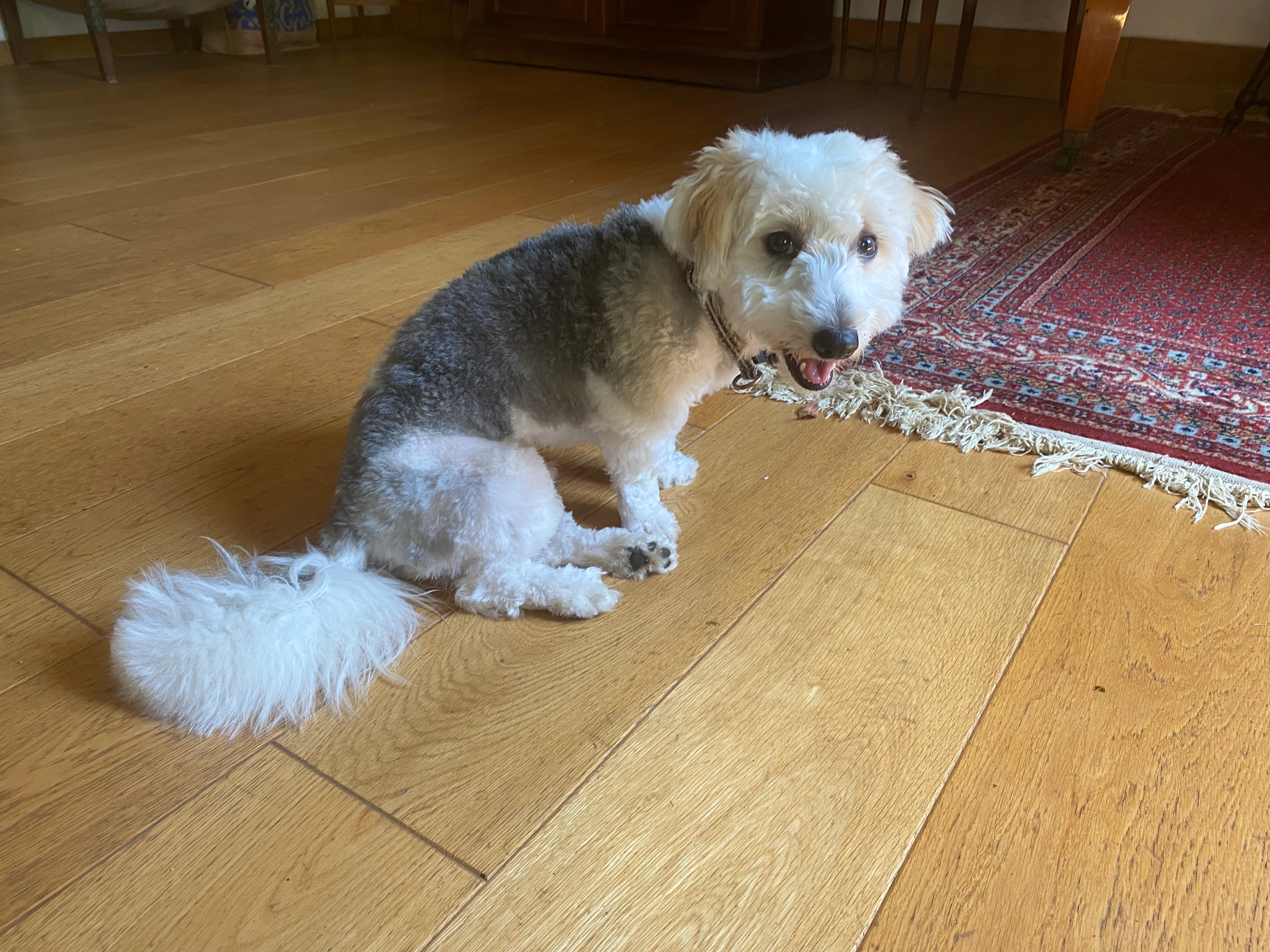 Milo - 1 Les Brunets, Bréhémont